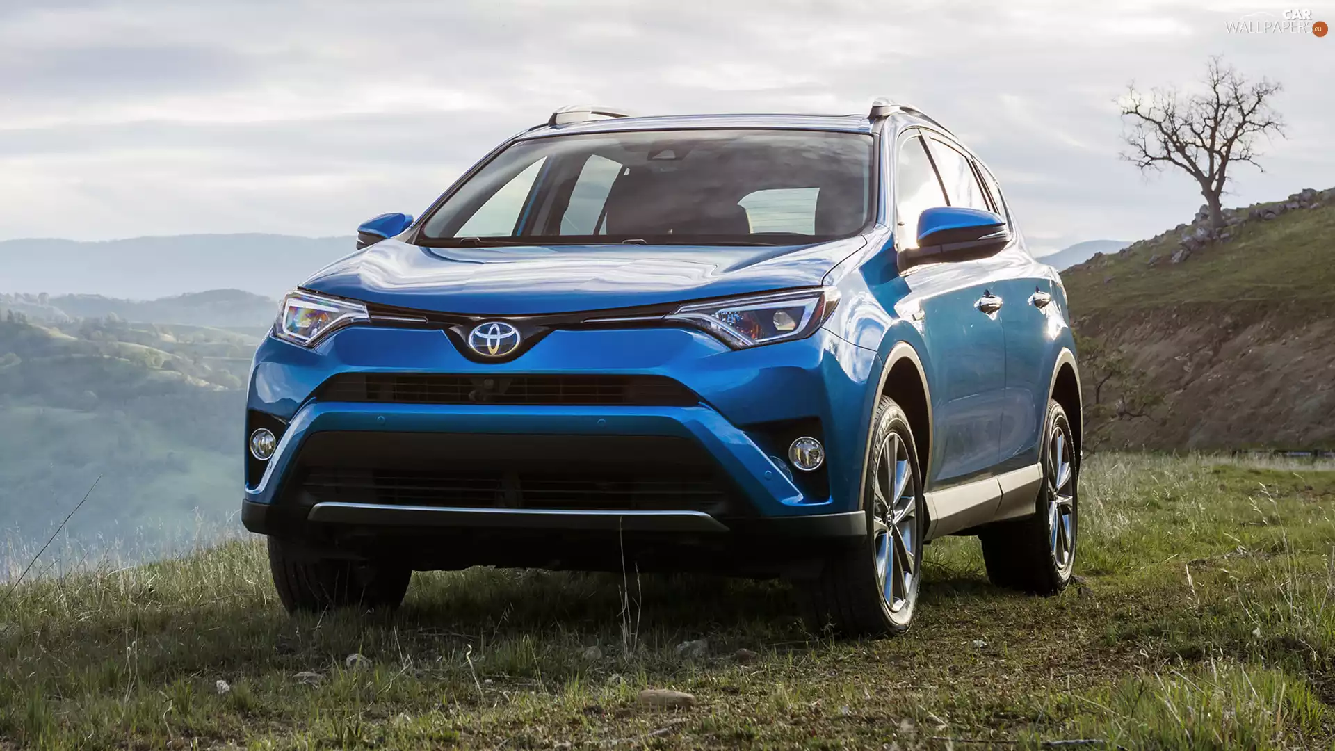 Blue, Toyota RAV4