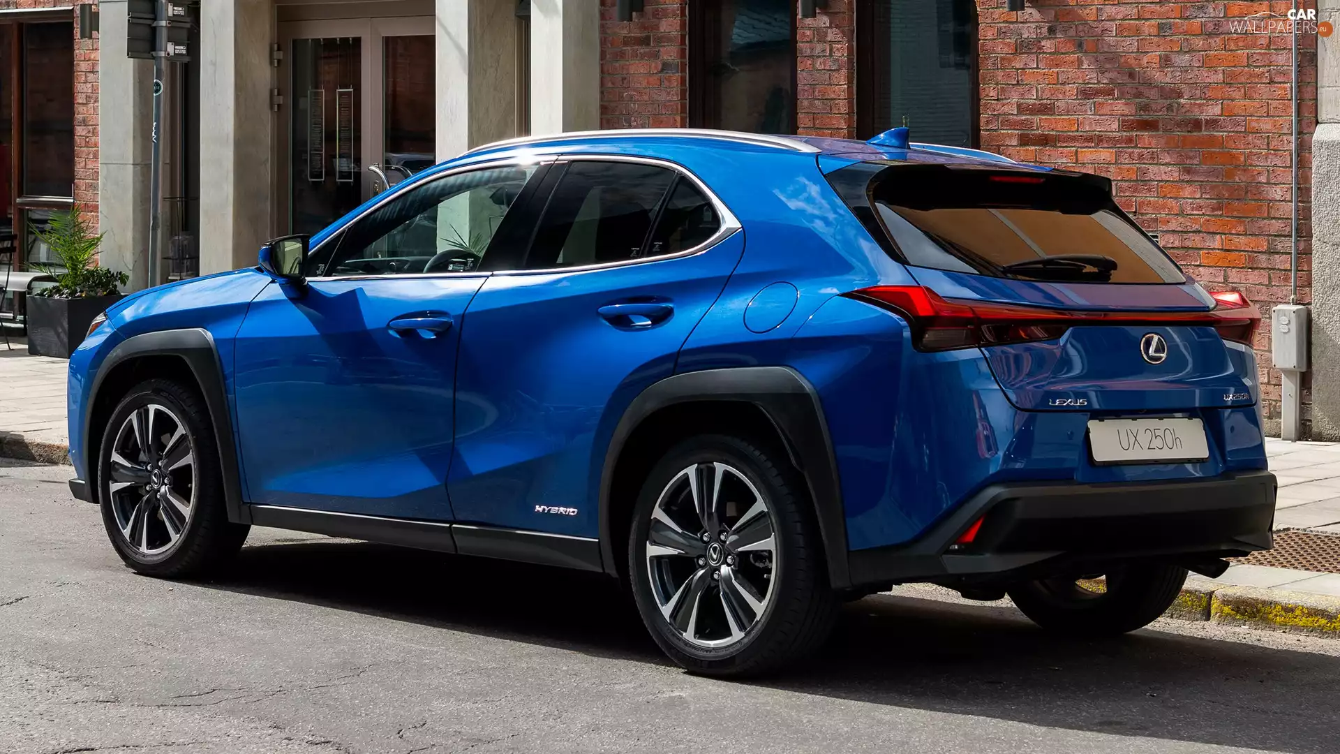 blue, Lexus UX