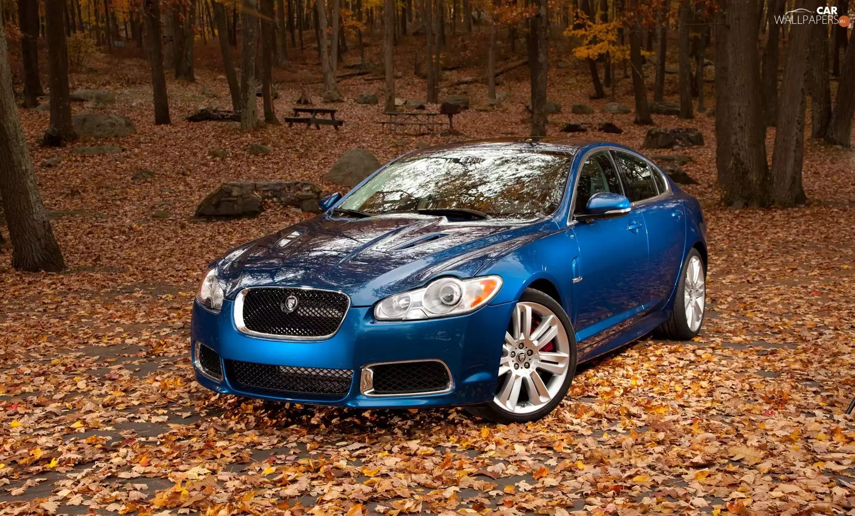 blue, Jaguar XF