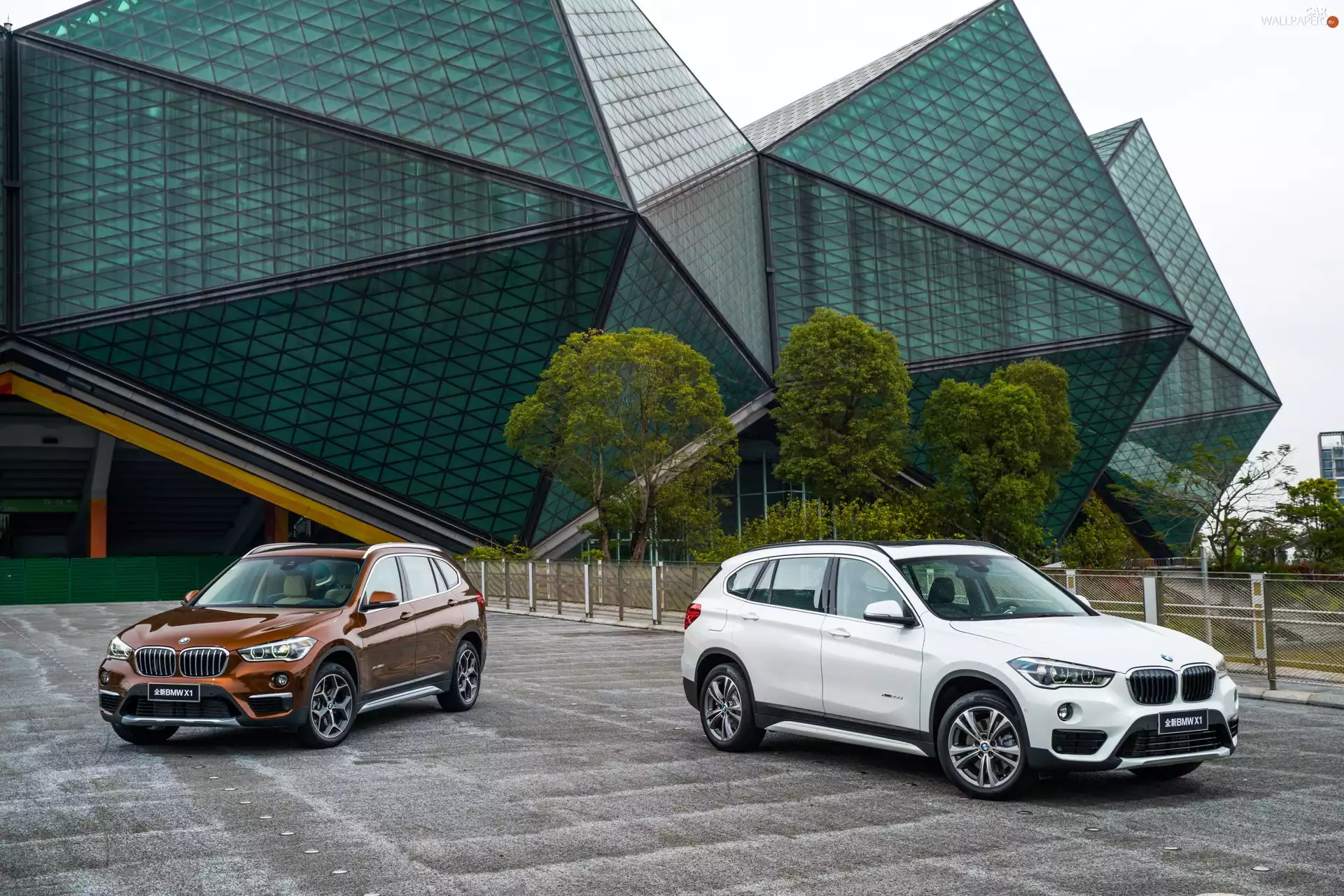 Brown, Two cars, BMW X1 F48, White