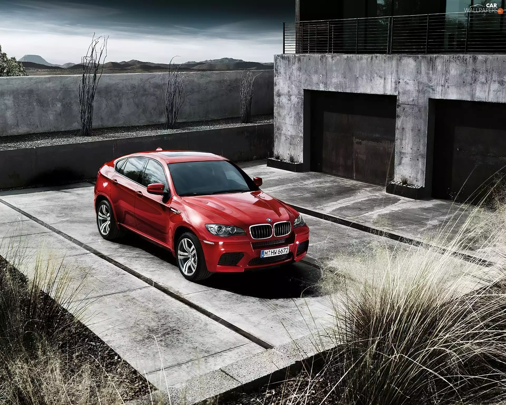 BMW X6, commercial