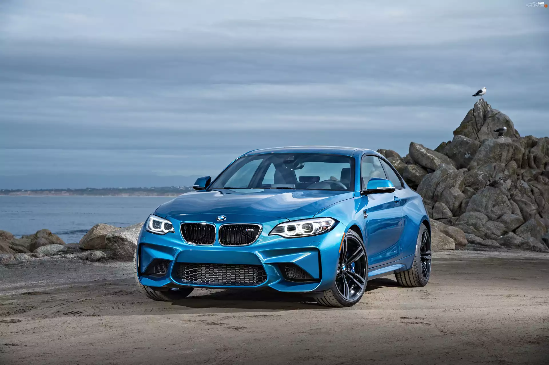 Blue, F87, 2016, BMW M2 Coupé
