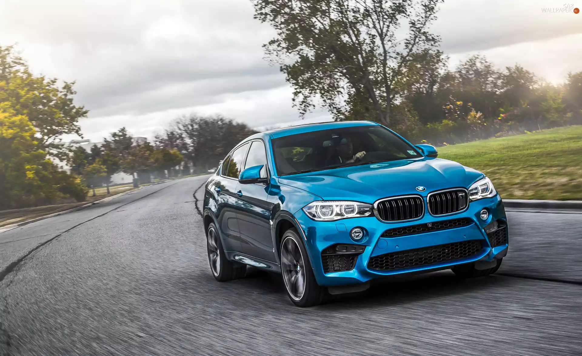 Blue, F86, 2015, BMW X6 M