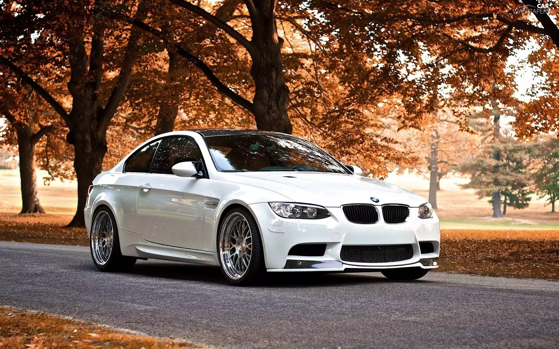 Leaf, BMW M3 Coupe, Way