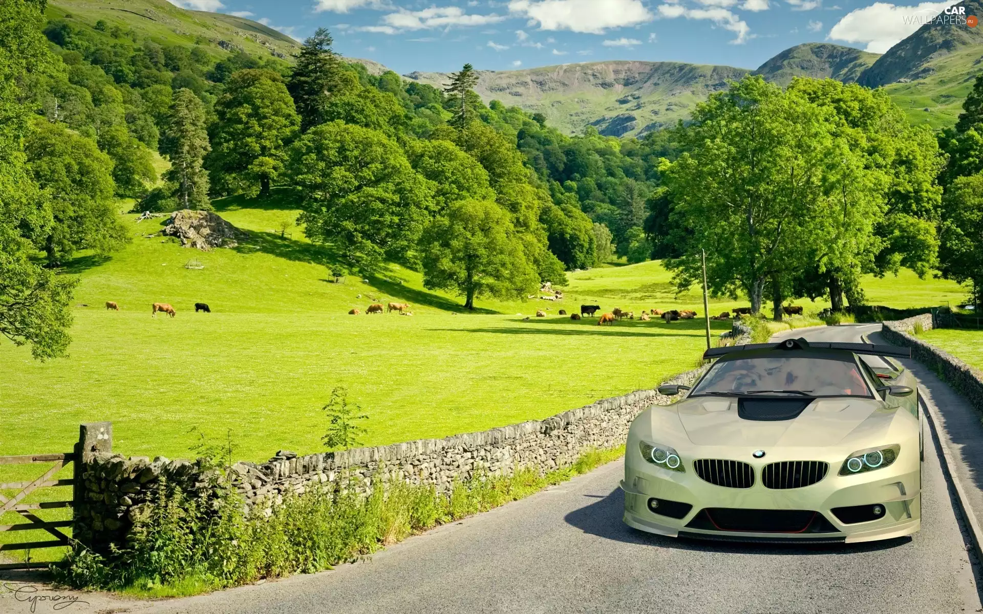 olive, Way, landscape, BMW