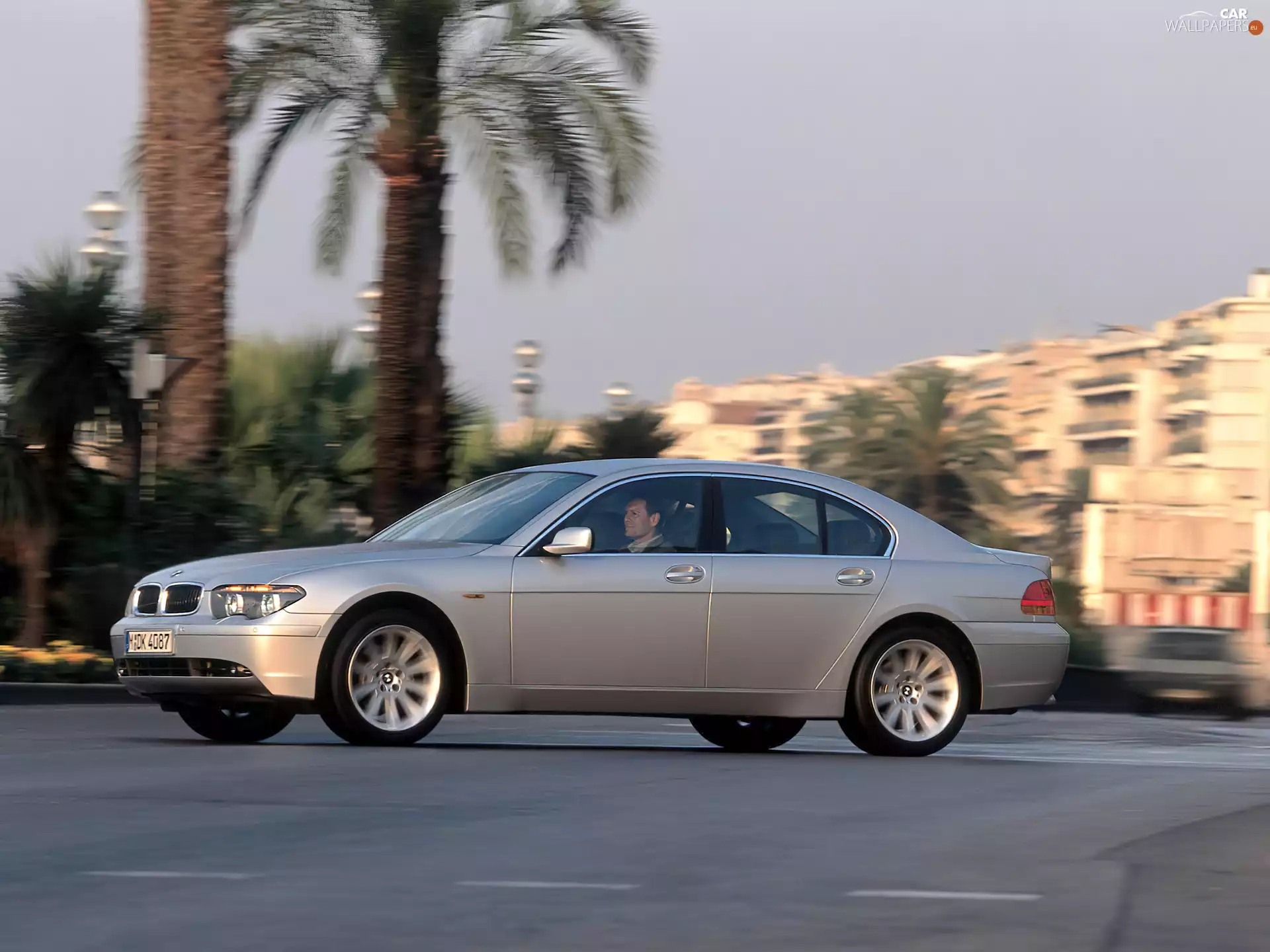 BMW 7, Palms