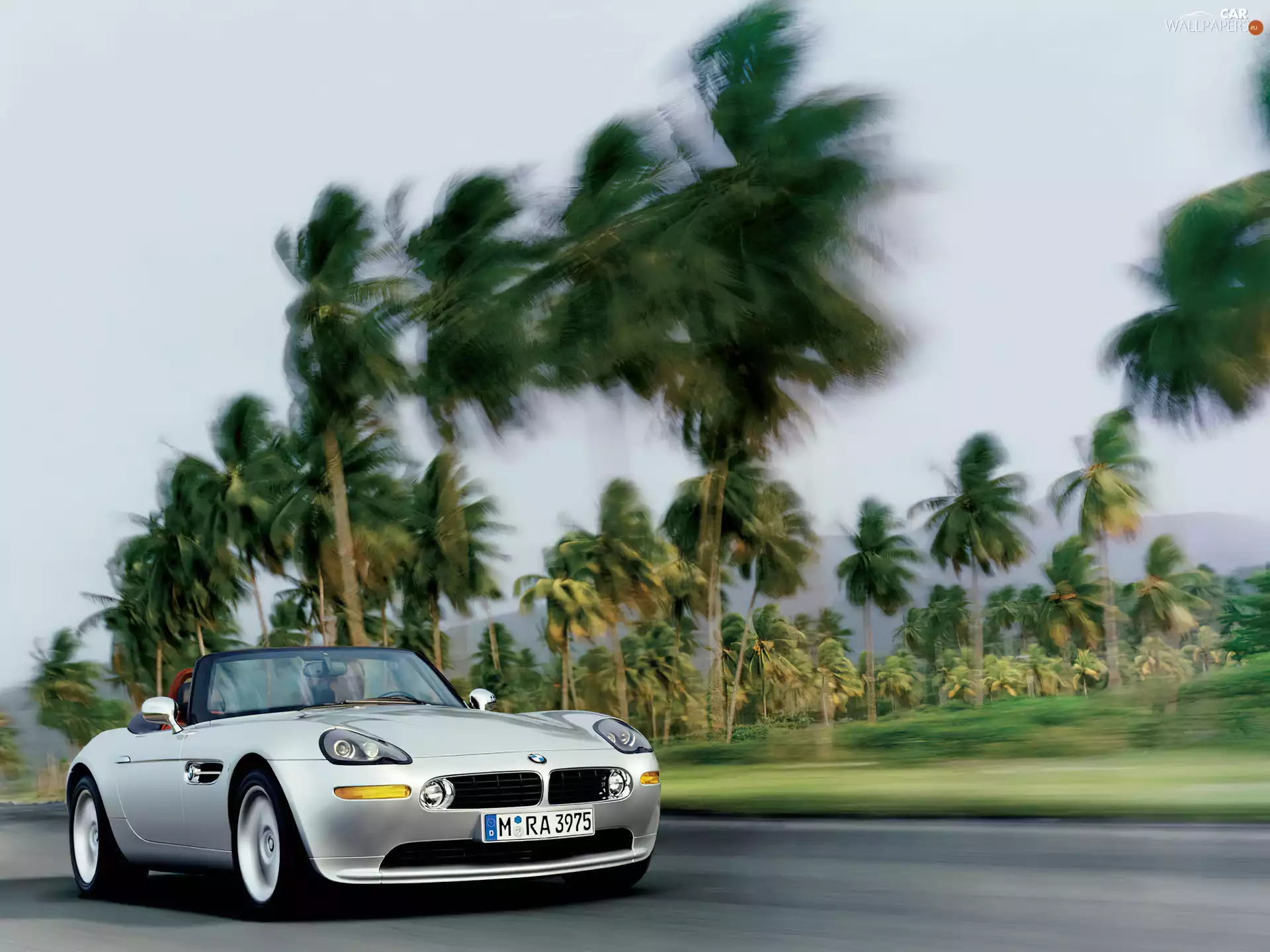 BMW Z8, Palms