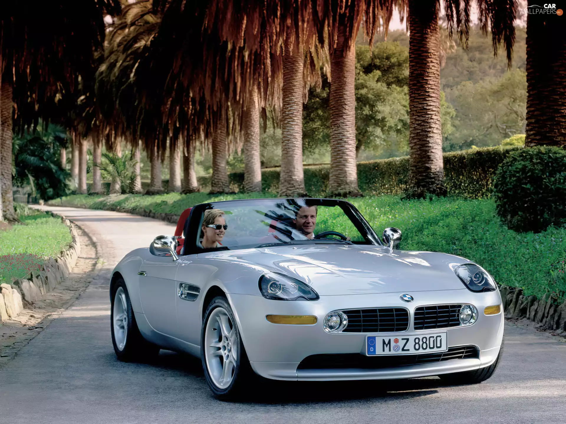 BMW Z8, Palms