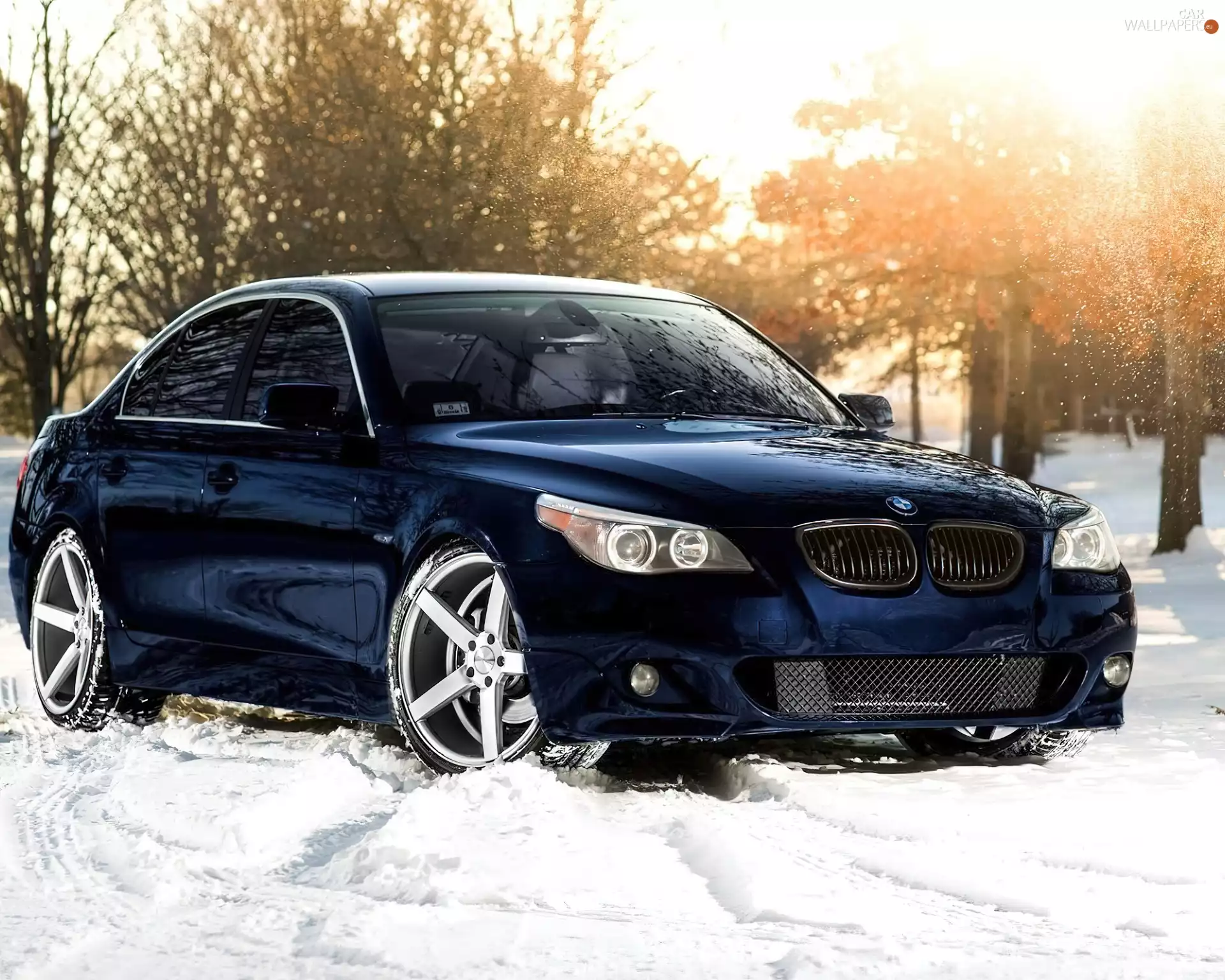 M5, Automobile, trees, BMW, Granate, snow, viewes