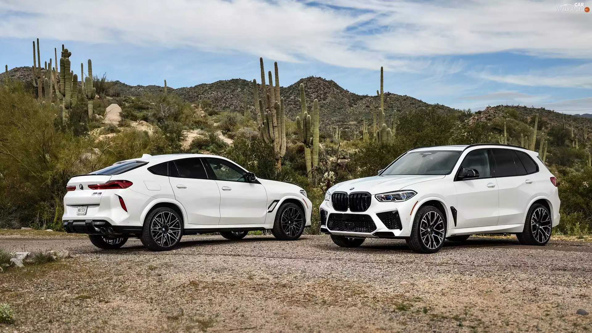 BMW X5 M, Competition, White, BMW X6 M, Two cars