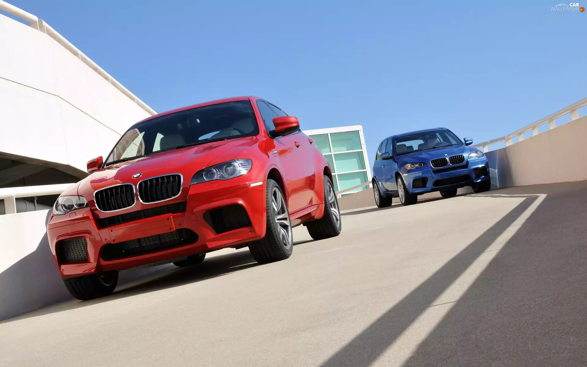 BMW X6, X5