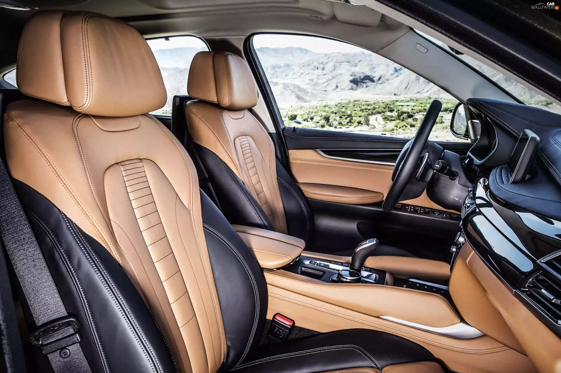 skin, BMW X6 F16, interior