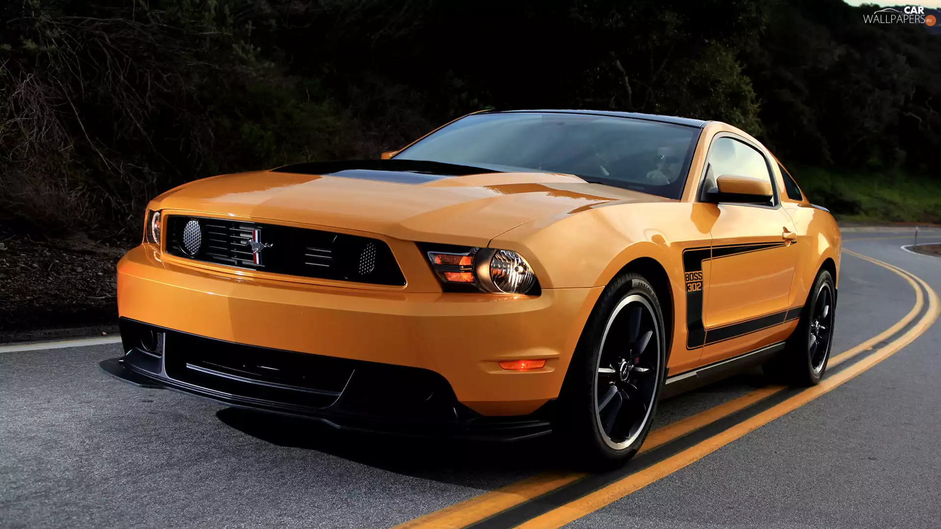 antique, Ford Mustang Boss 302, 1970