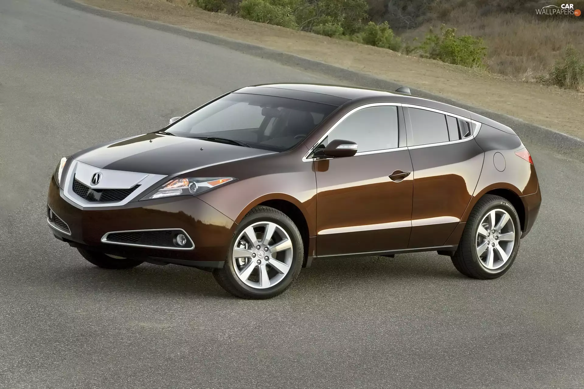 Brown, Acura ZDX