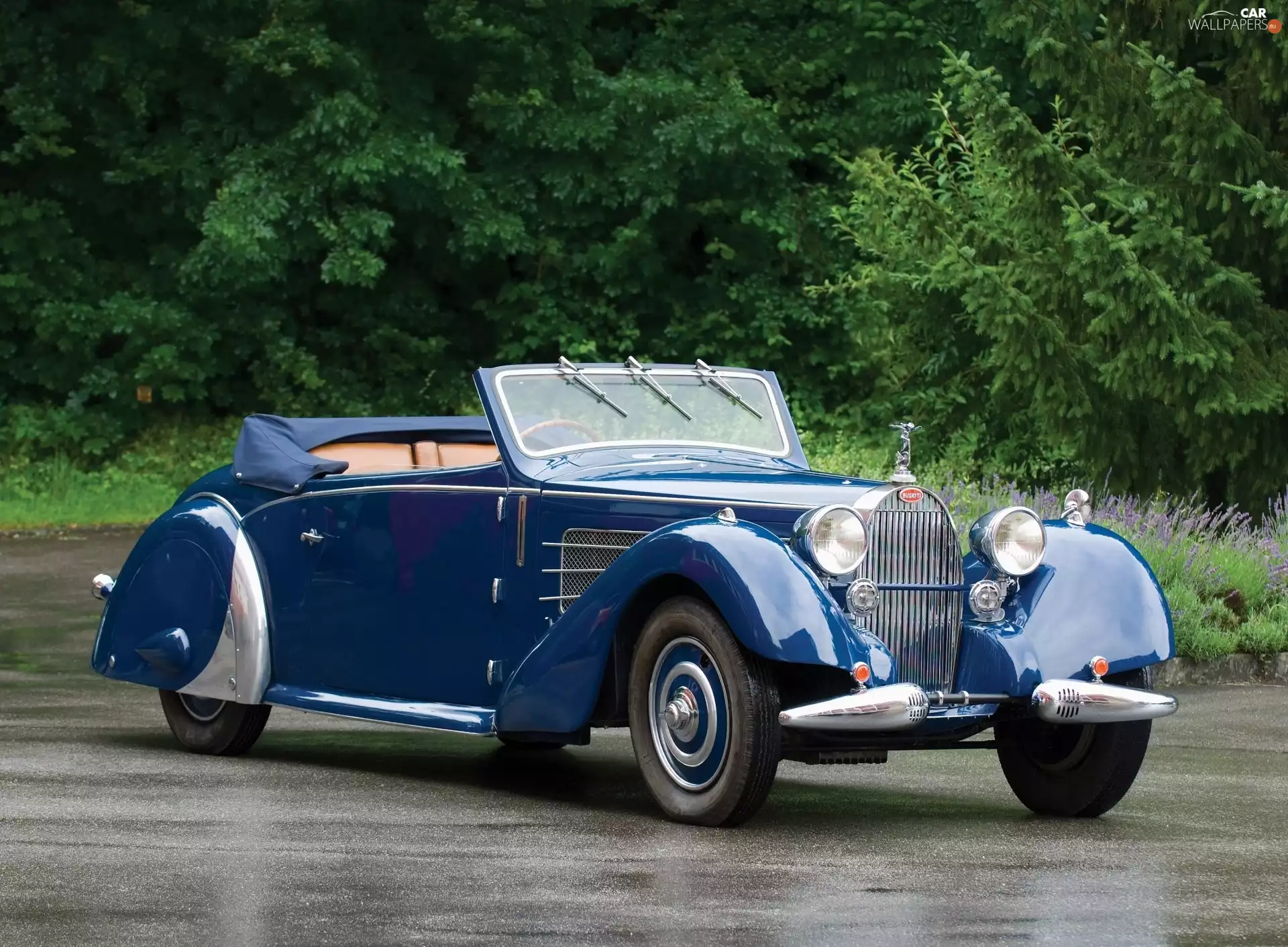 Blue, Bugatti, classic, motor car