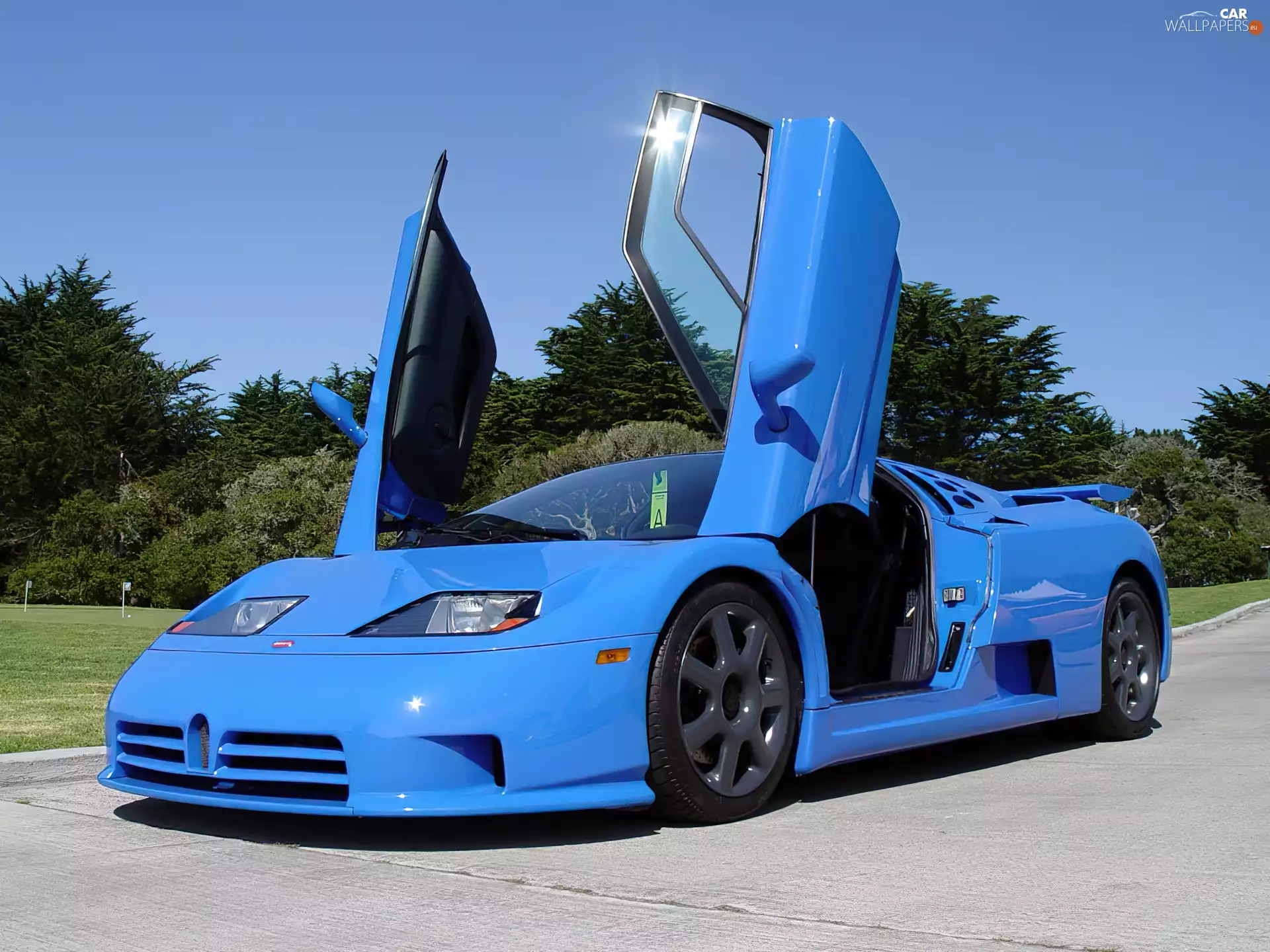 Doors, Bugatti EB 110, raised