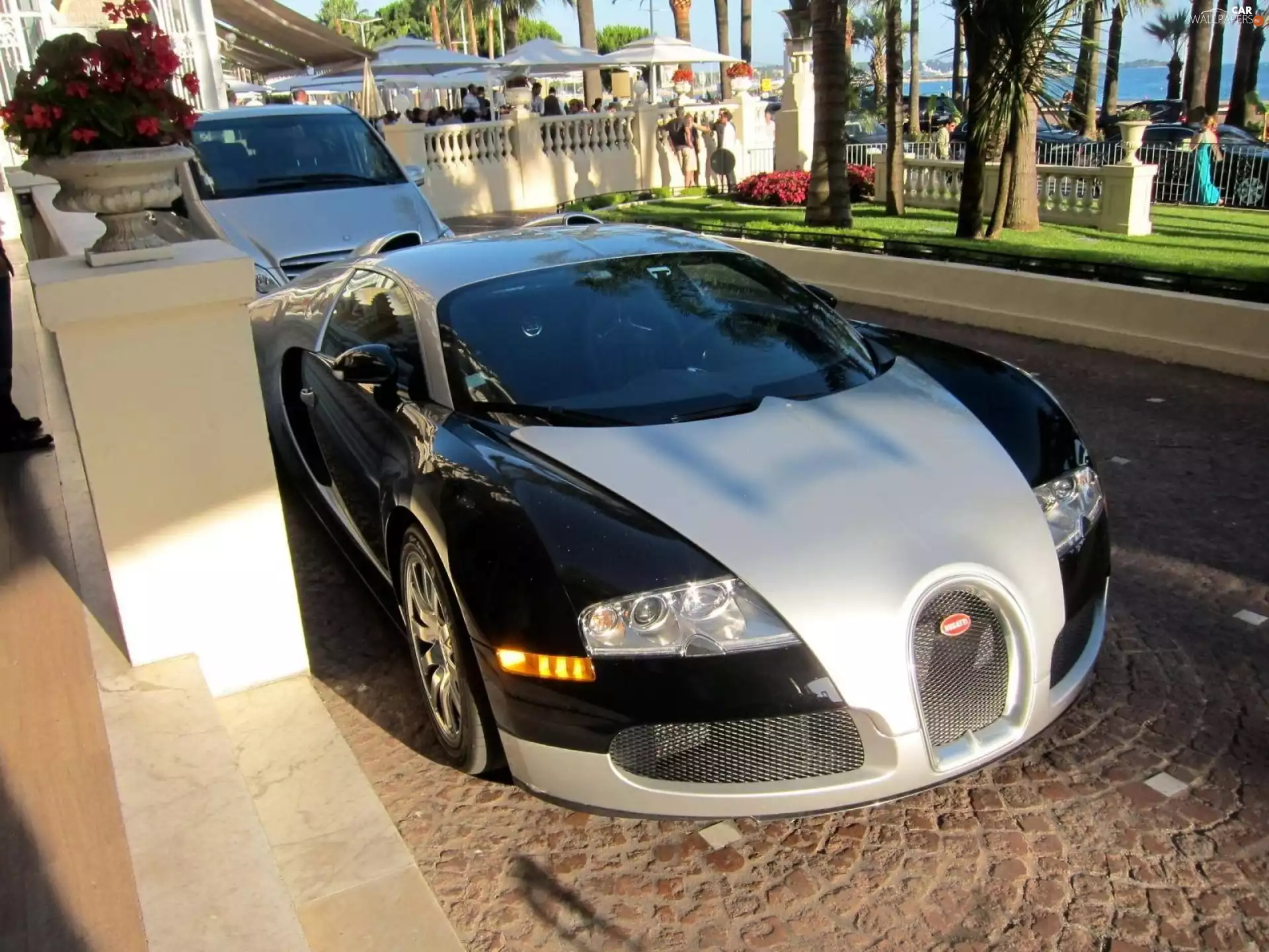 Bugatti Veyron, Street