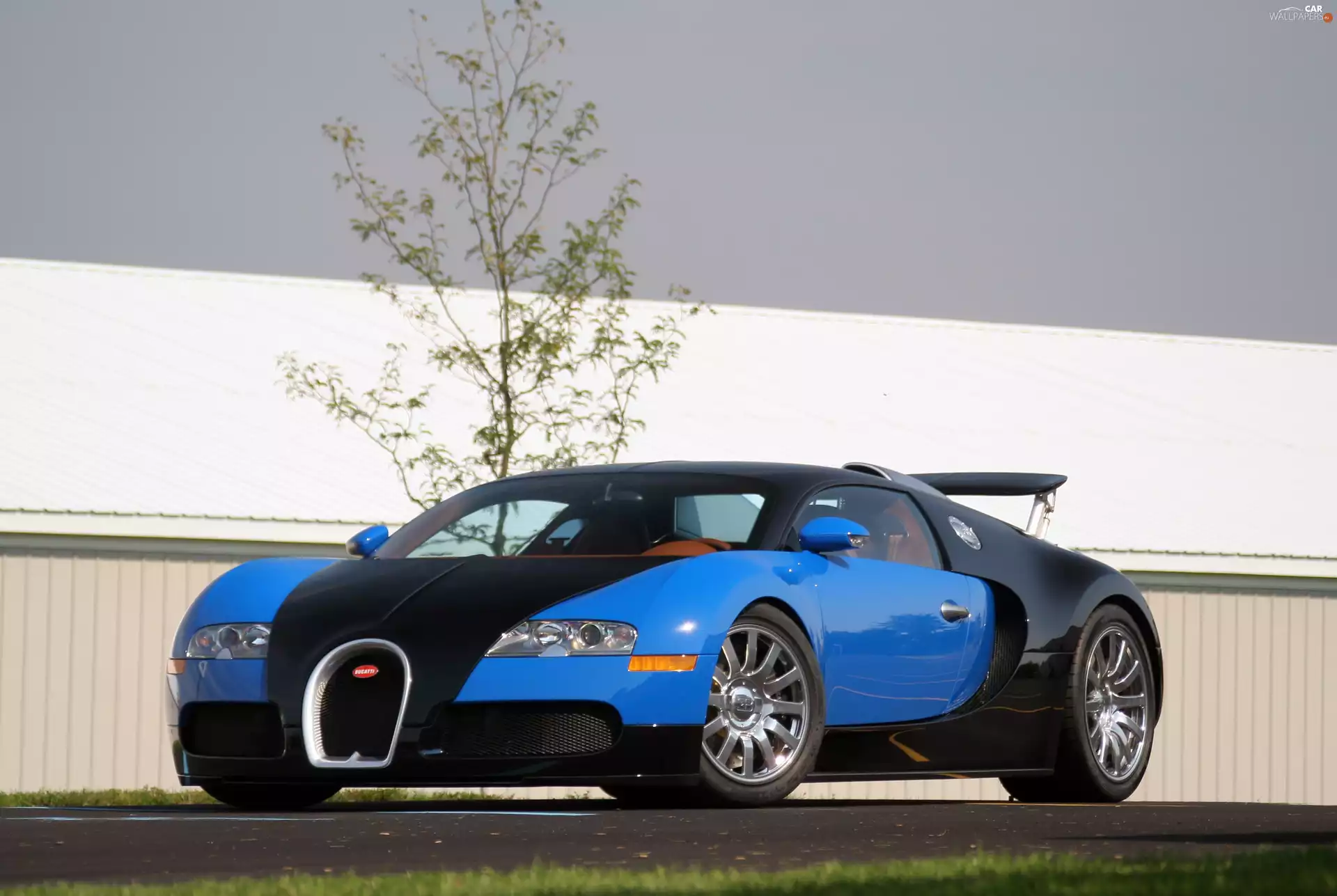 Bugatti Veyron