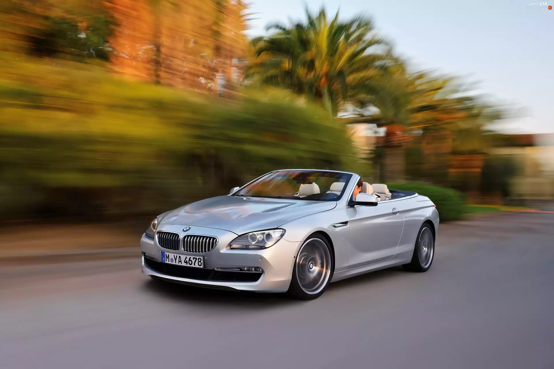 BMW F 13, Cabriolet