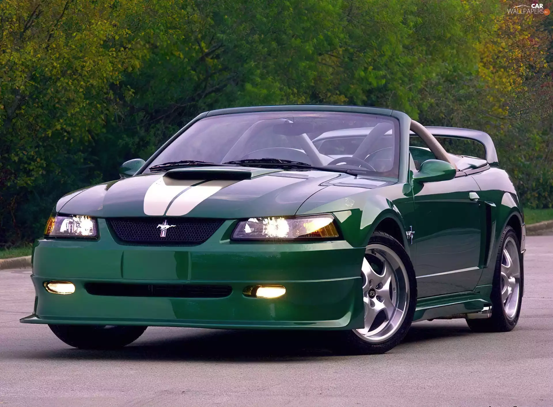 TUNING, Ford Mustang, Cabriolet