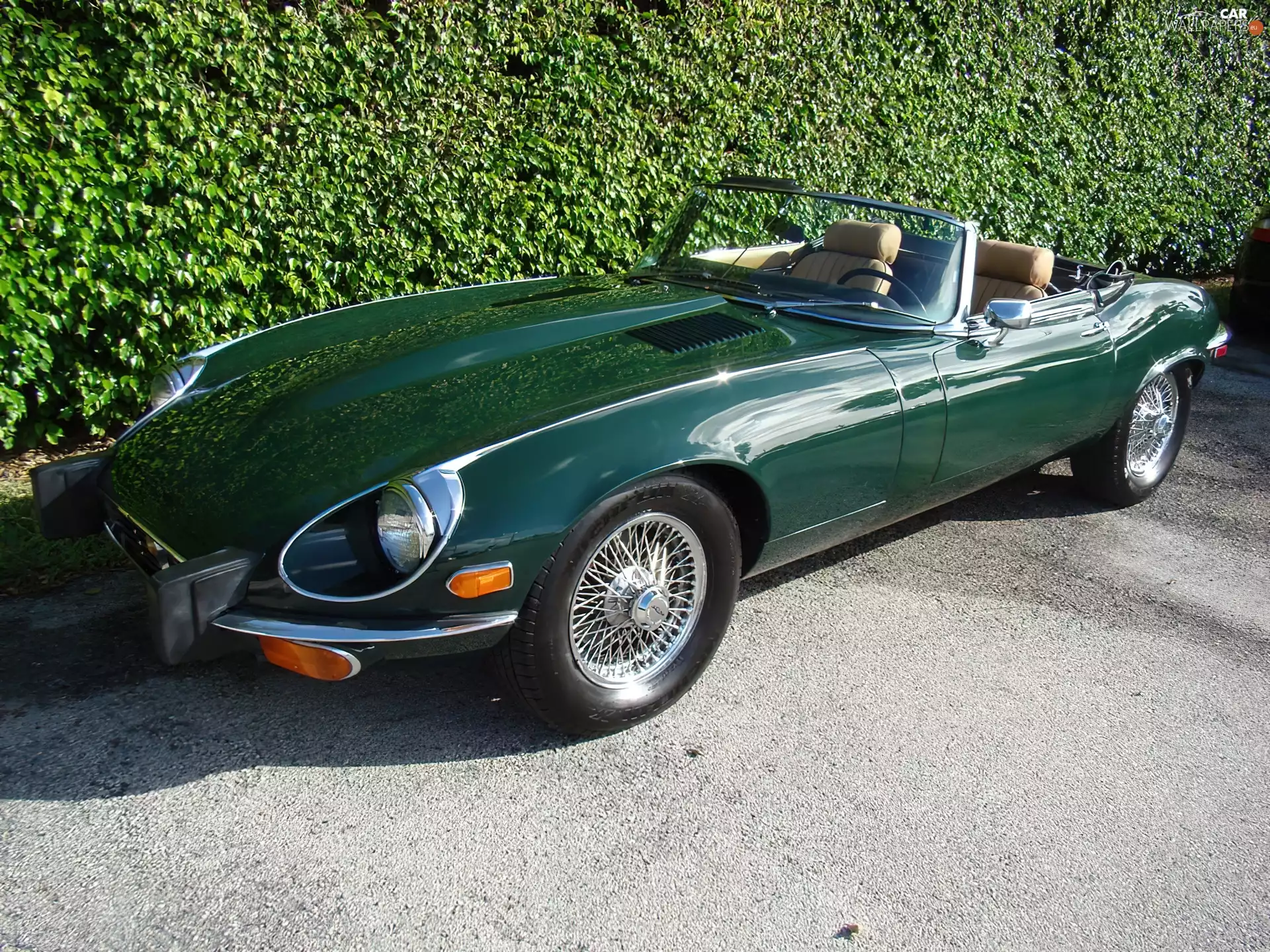 Cabriolet, Jaguar XKE