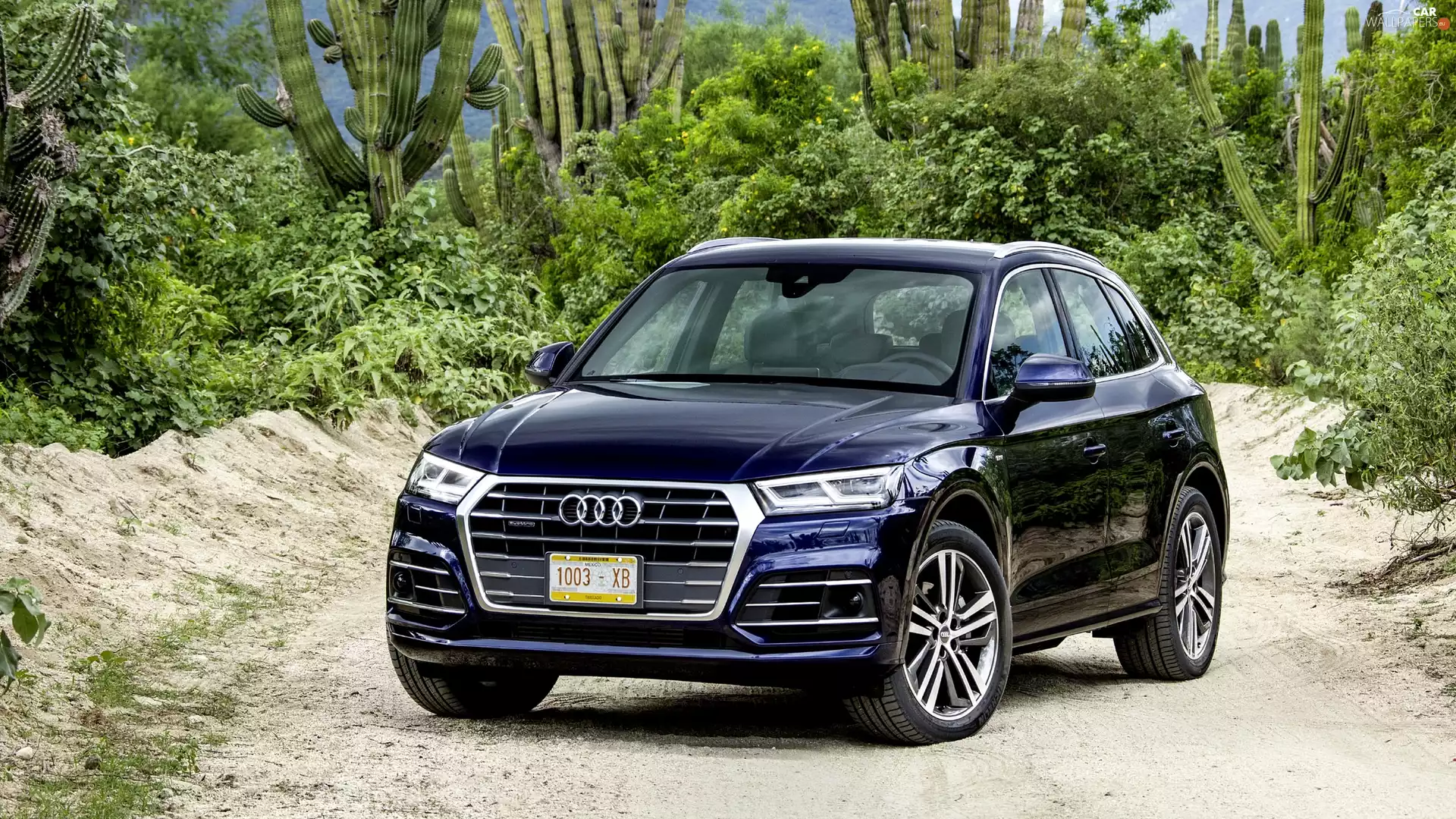 Cactus, Audi Q5 TFSI Quattro SUV Navarra Blue, 2017