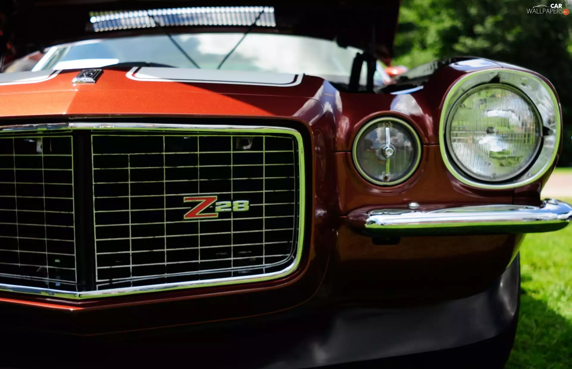 Camaro, vehicle, Chevrolet