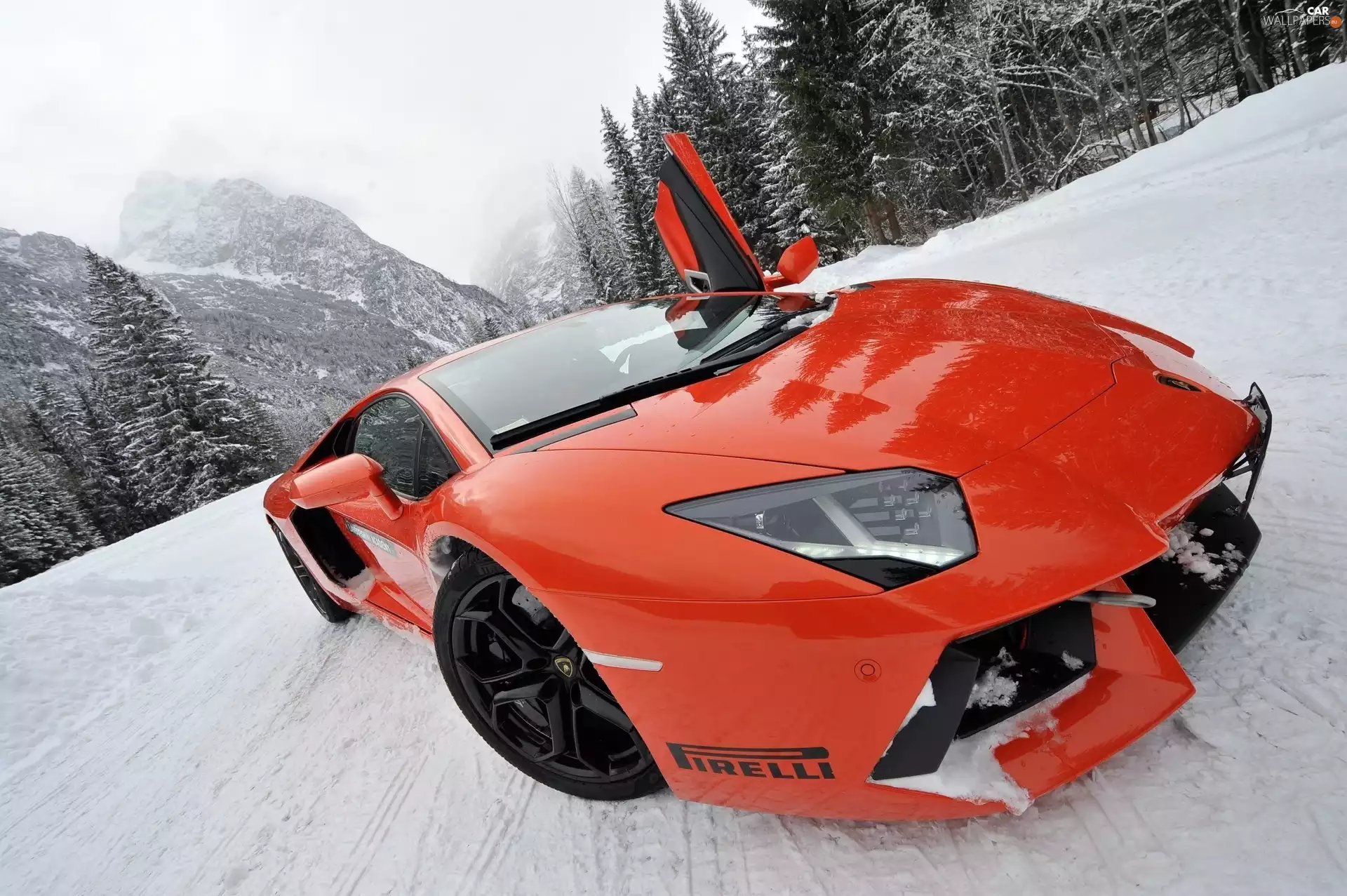 motor car, Aventador, winter, Lamborghini