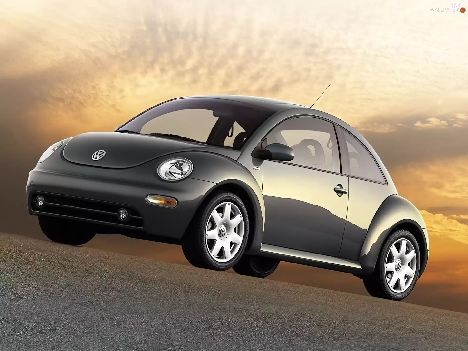 New Beetle, Grey car