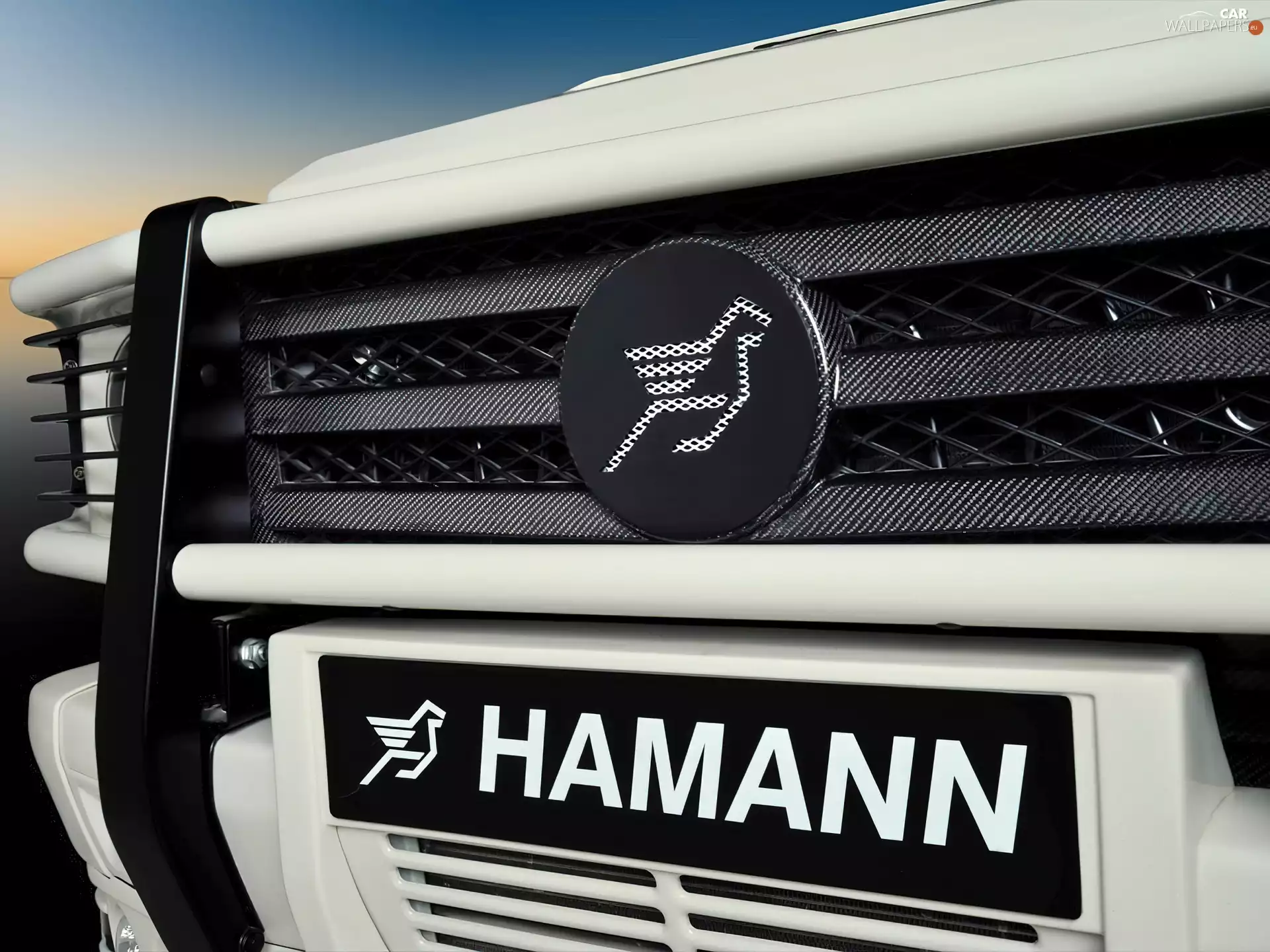 carbon, logo, Hamann