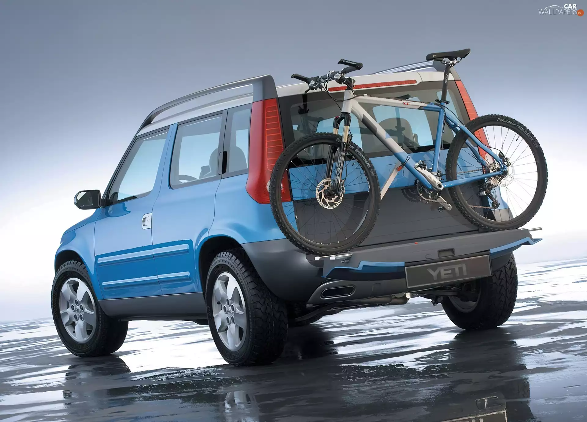 Bicycle, Skoda Yeti, Carrier