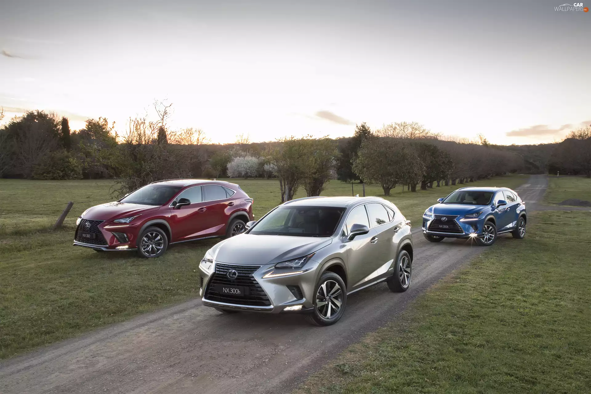 Lexus NX, Three, cars