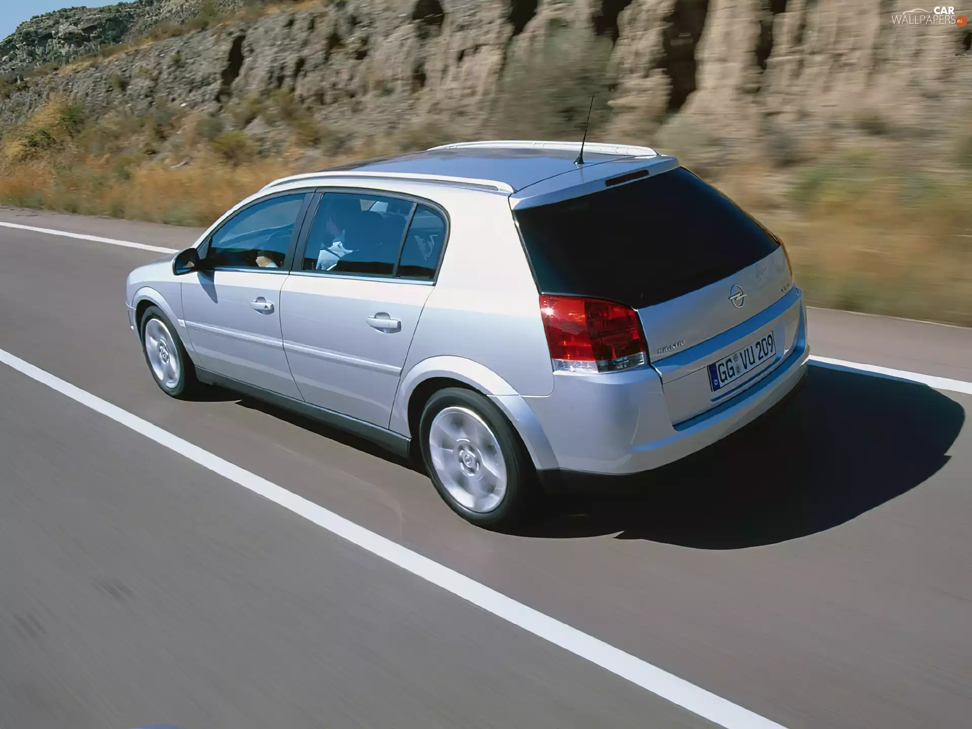 Opel Signum, Silver cars