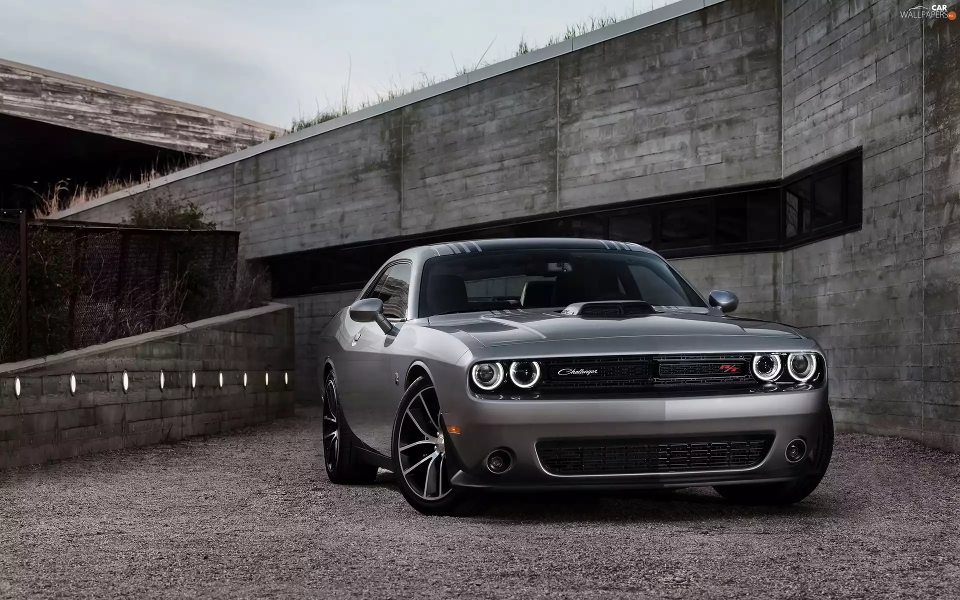 Challenger, Gray, Dodge