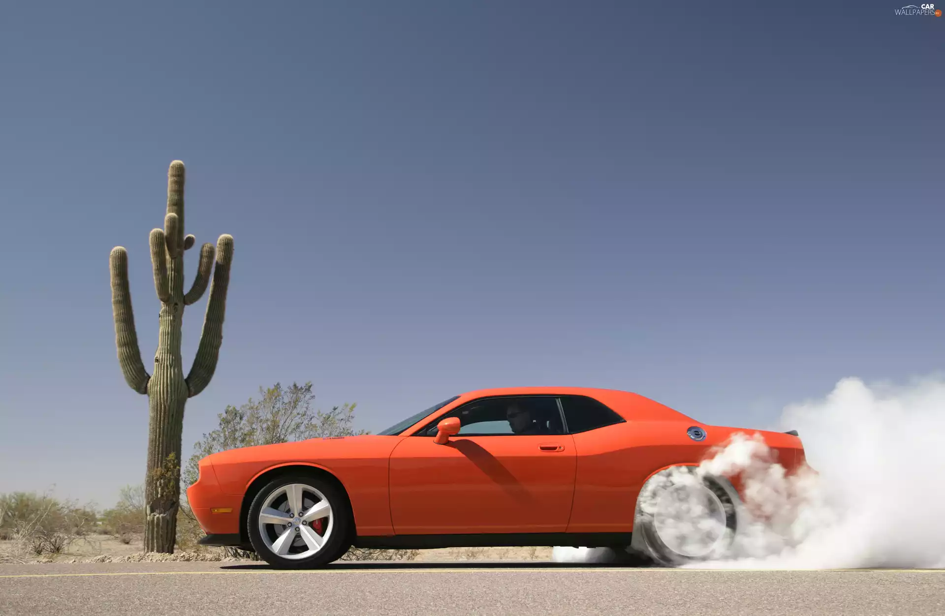 Dodge Challenger, puffs, smoke, Cactus