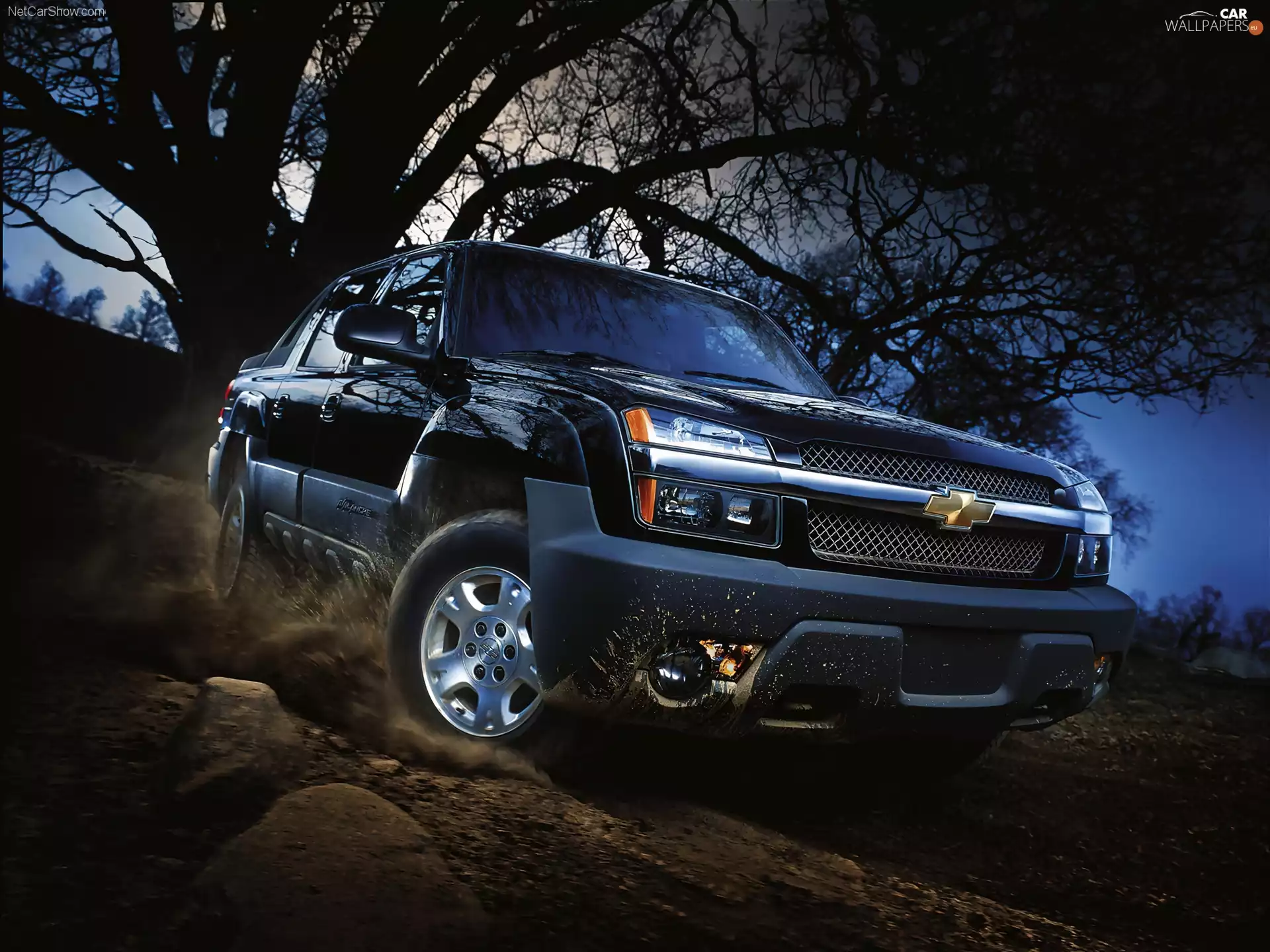 Chevrolet Avalanche, commercial
