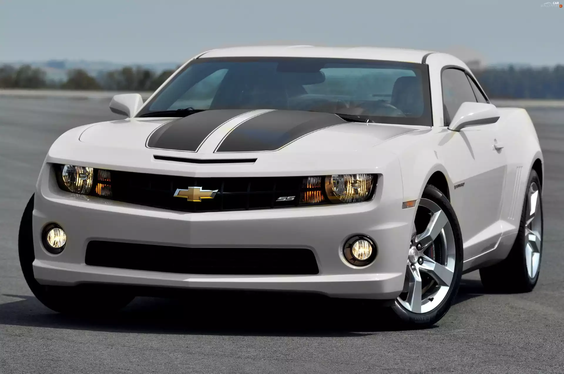 Chevrolet Camaro, Gray