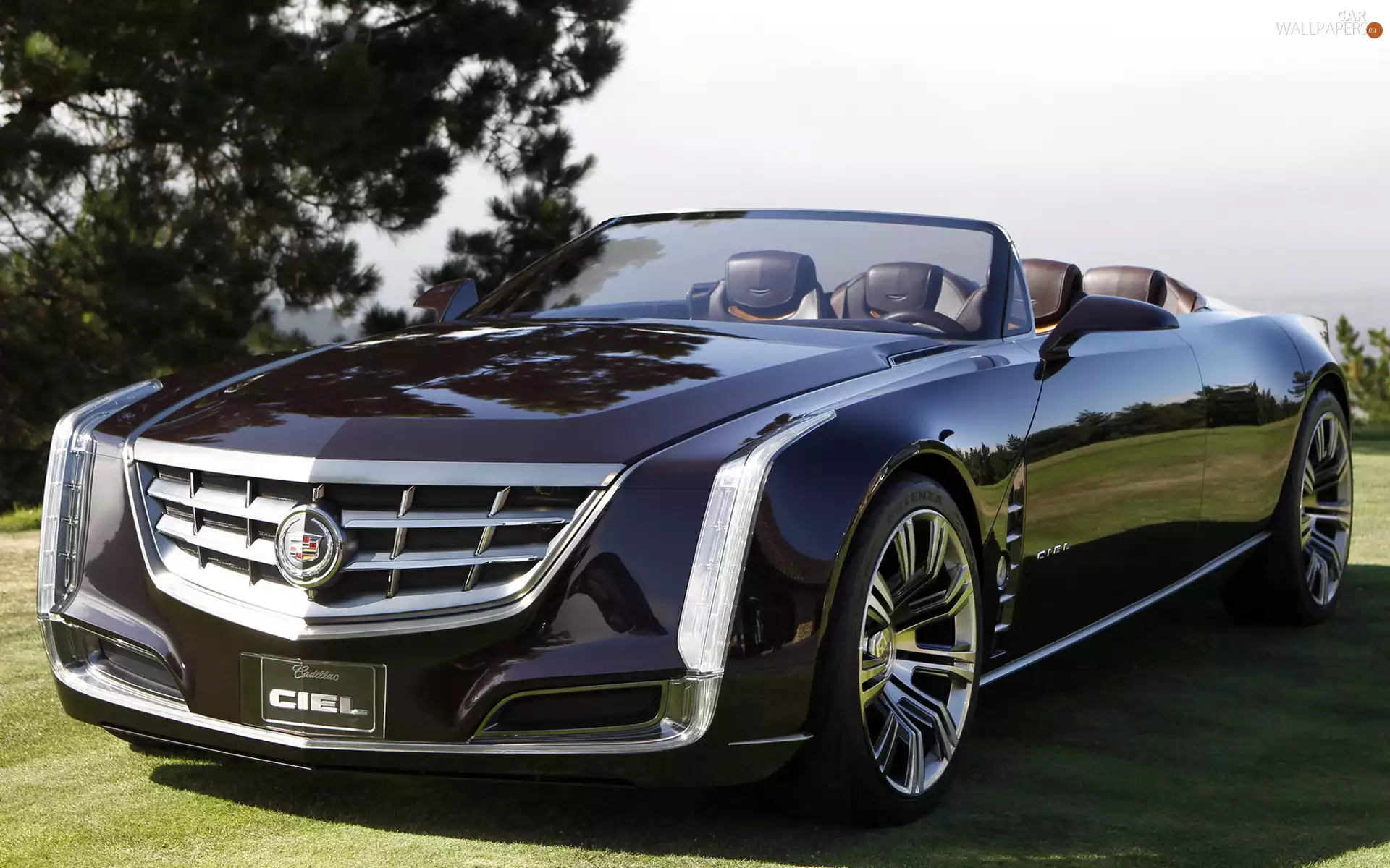 Cabriolet, Black, Cadillac Ciel