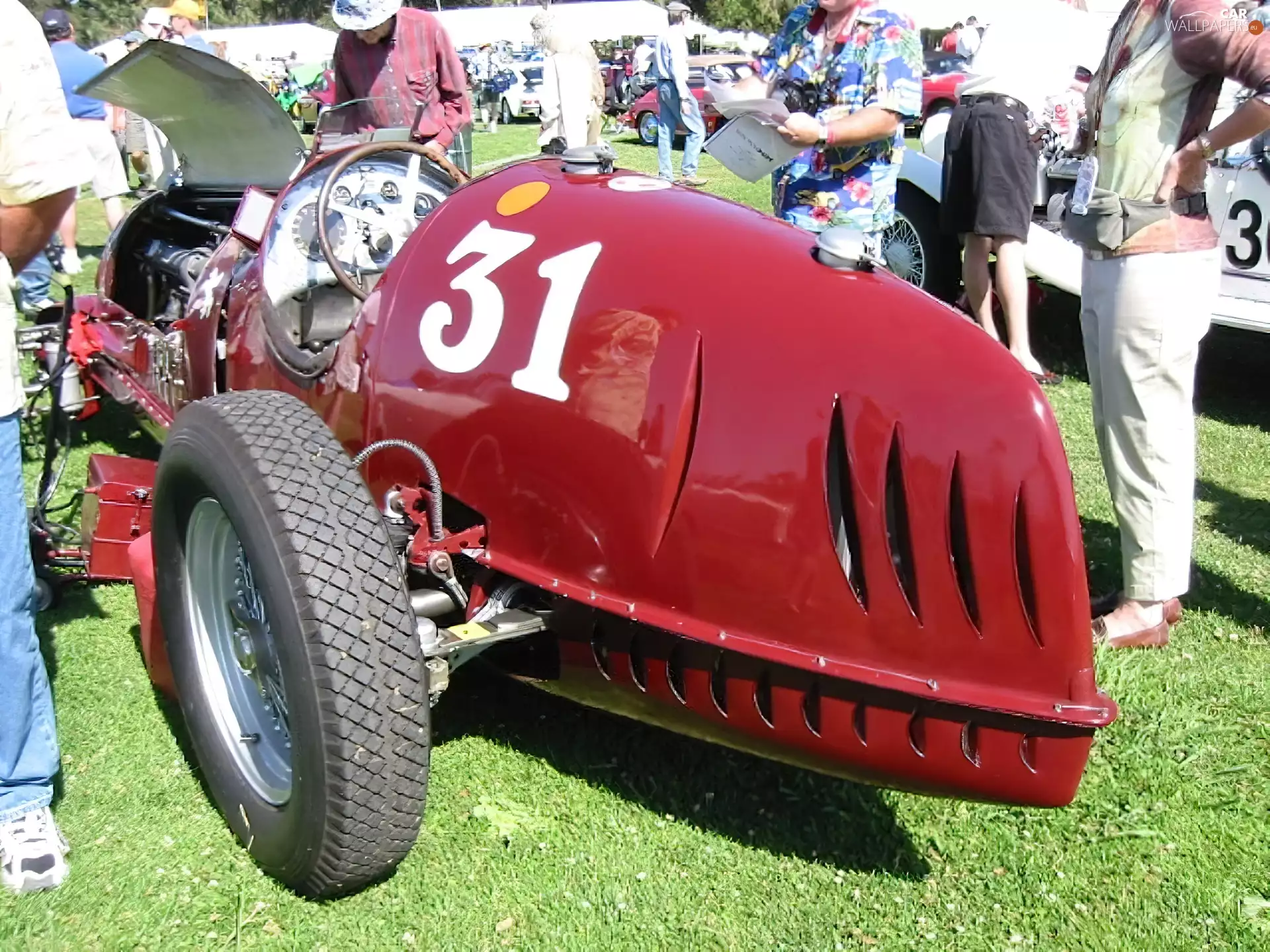 Alfa Romeo, driver, circle, rear car