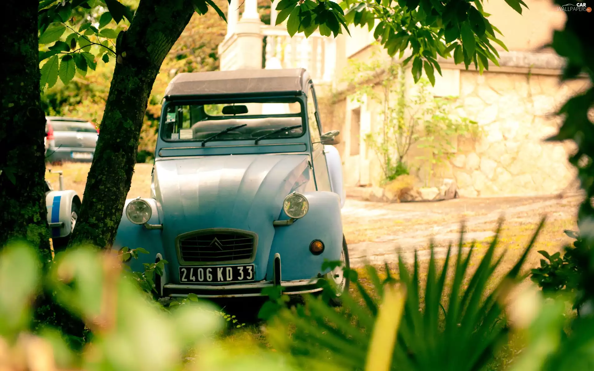 antique, Plants, trees, Citroen