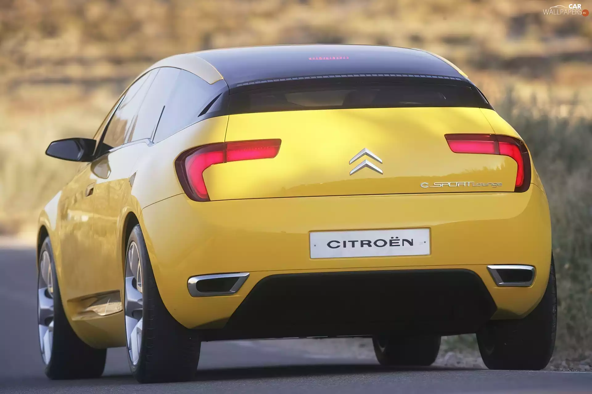 silencers, Citroen C-Sportlounge, tips