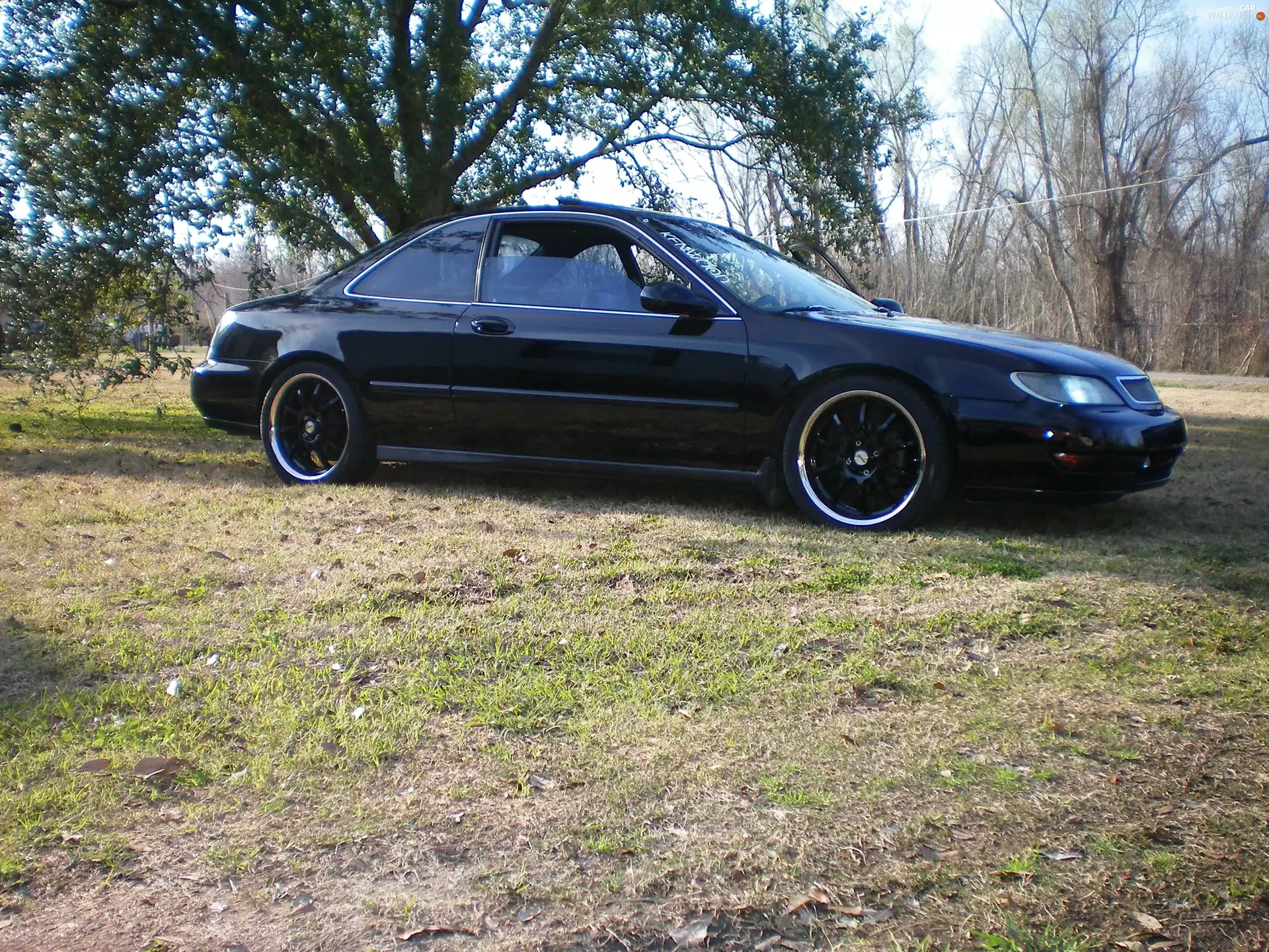 Xsenon, black, Acura CL