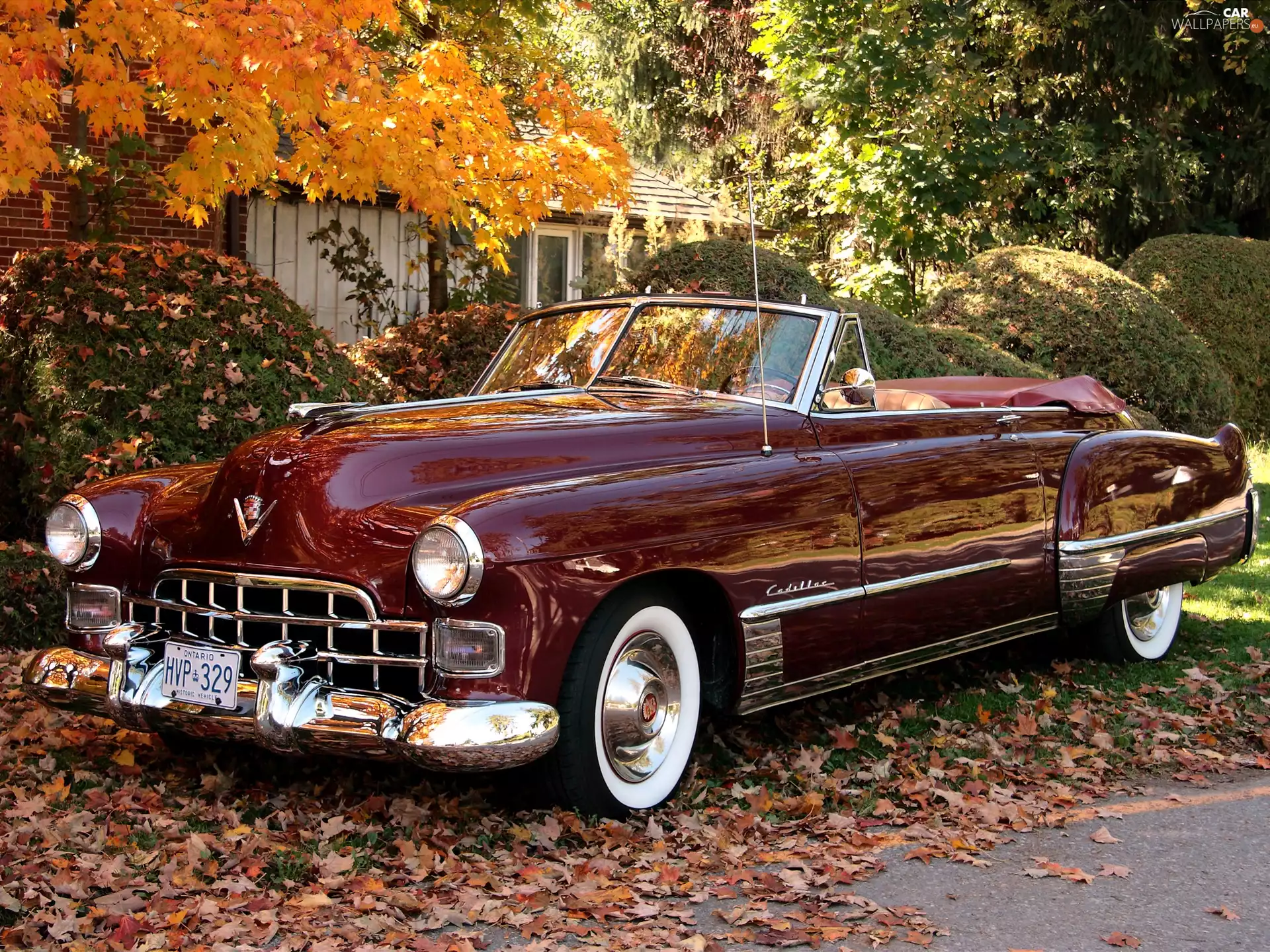 claret, Cadillac