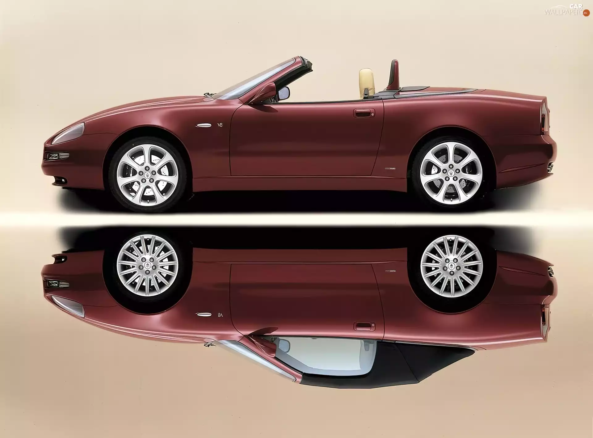 claret, Maserati Spyder