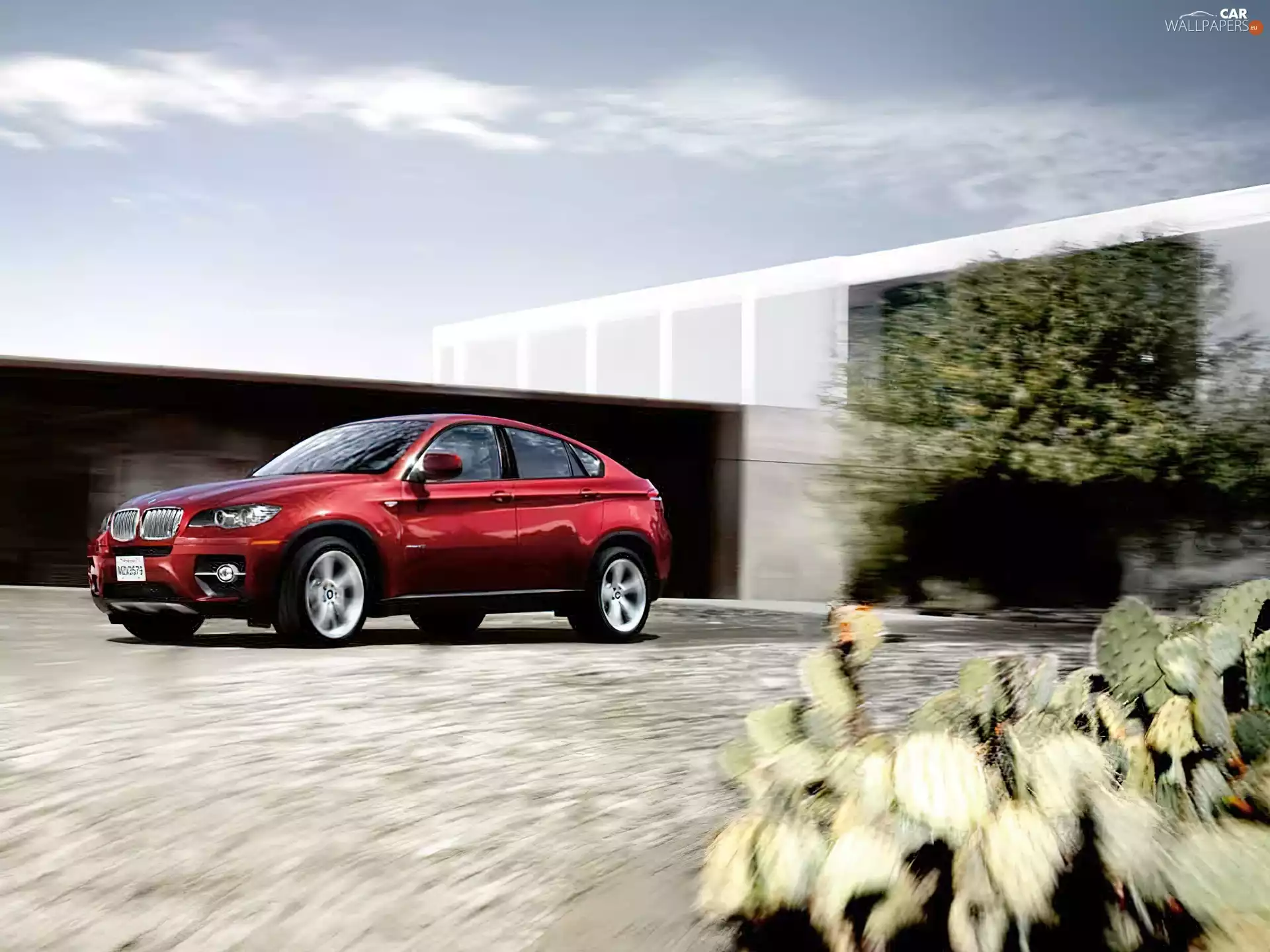 claret, BMW X6