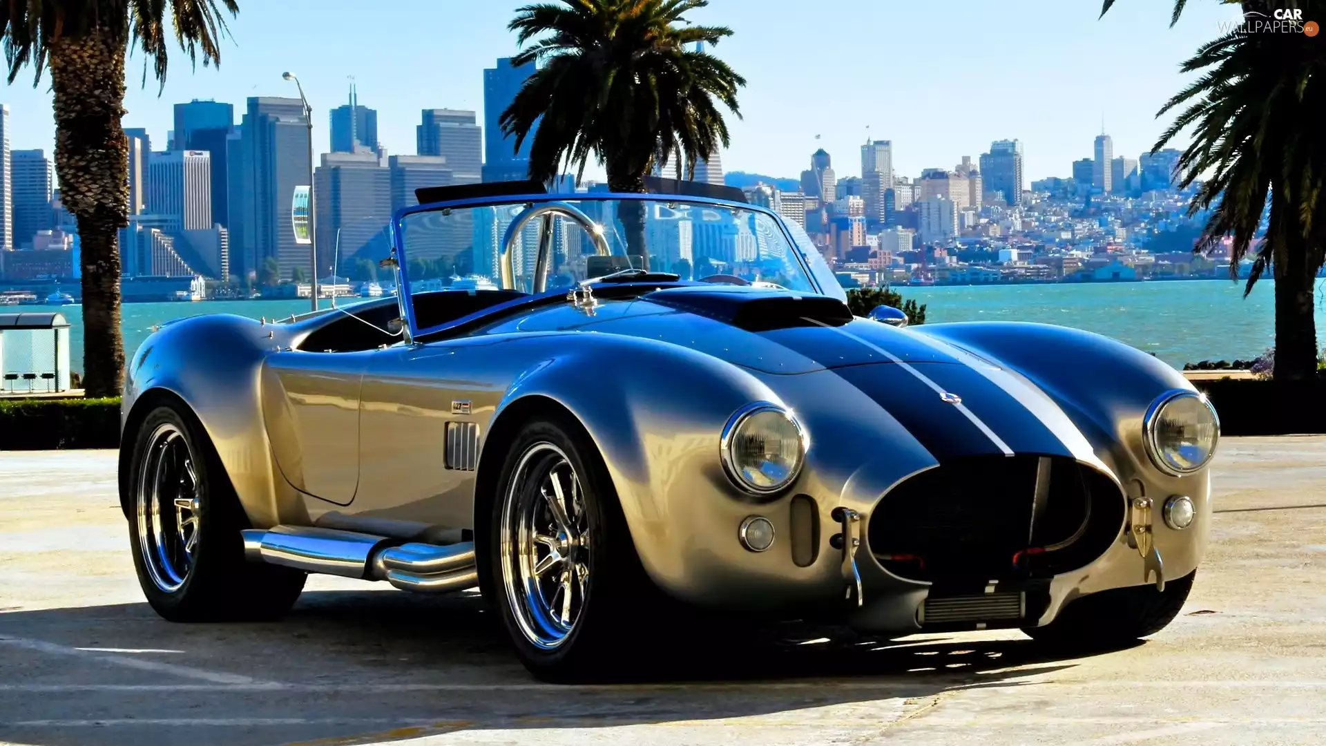 Shelby, antique, tuned, Cobra