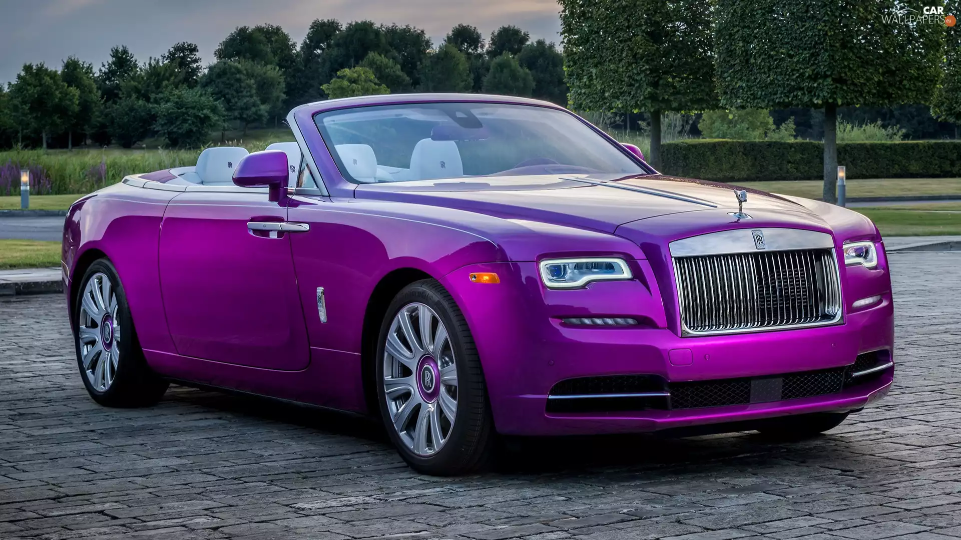 Rolls-Royce Dawn, color, fuchsia, Cabriolet
