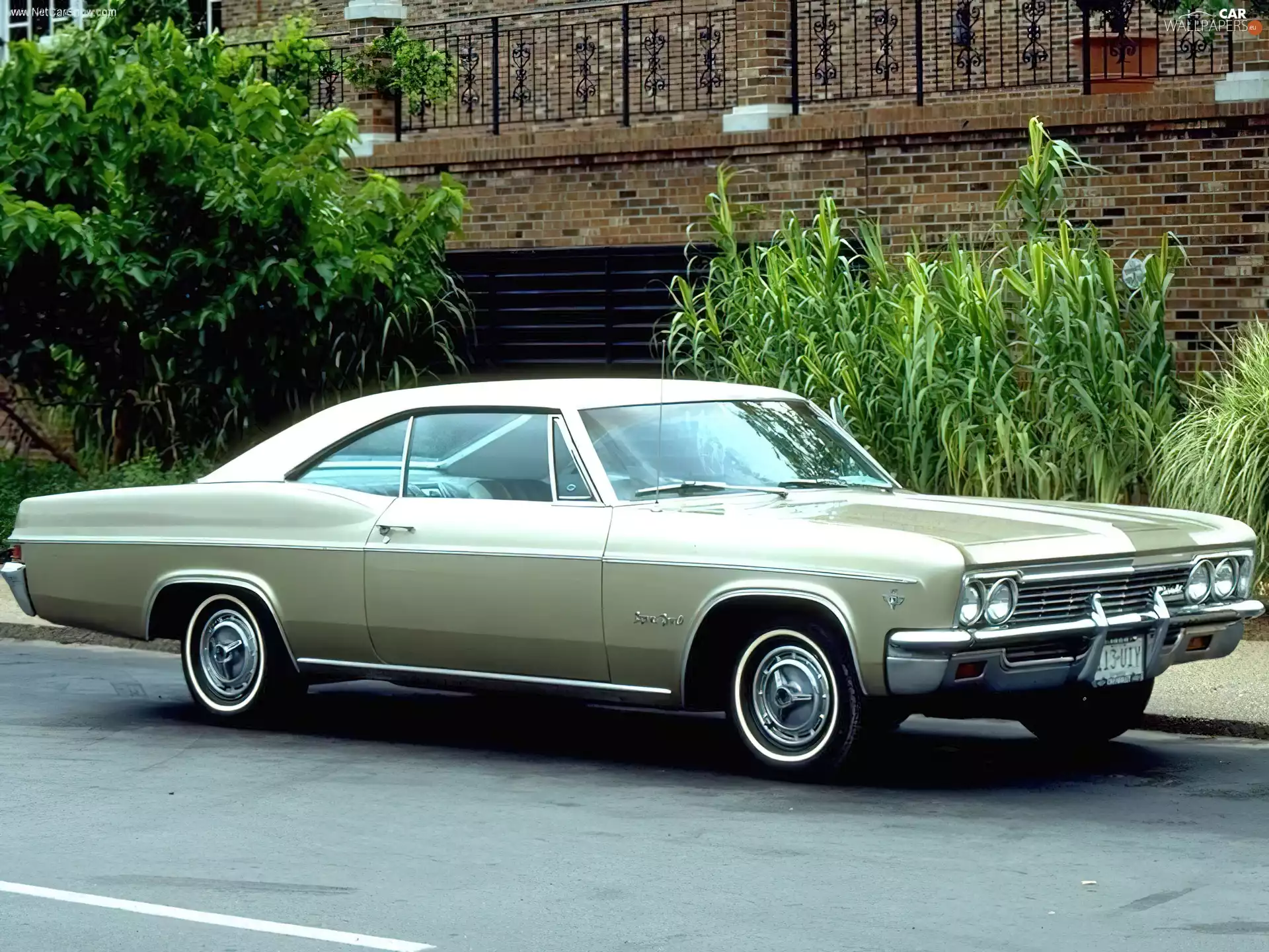 picture, Chevrolet Impala, commercial