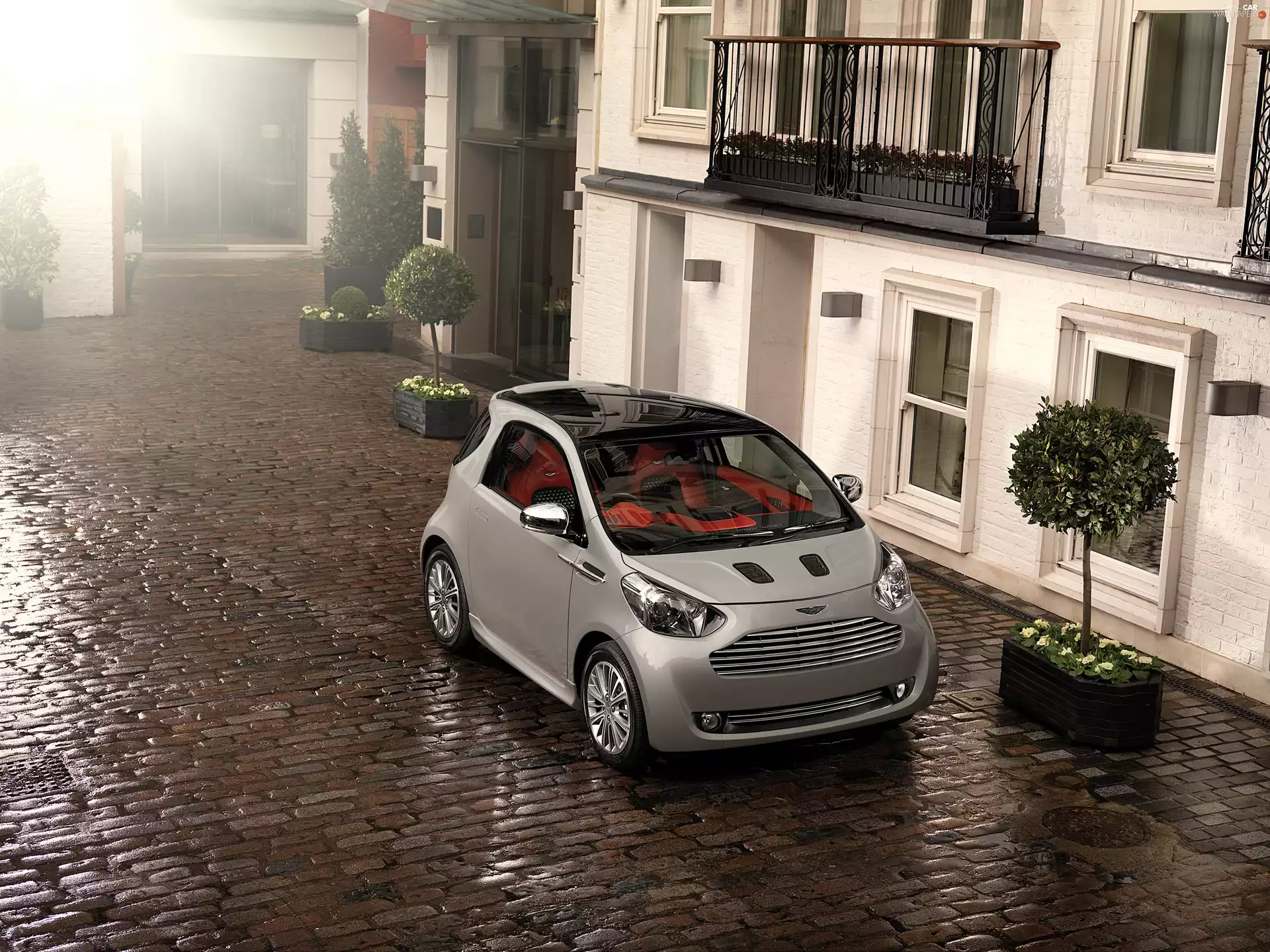 Aston Martin Cygnet, concept