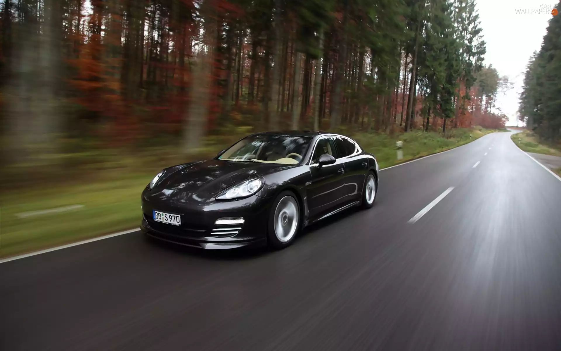 Porsche Panamera TechArt Concept, Way, forest, 2010